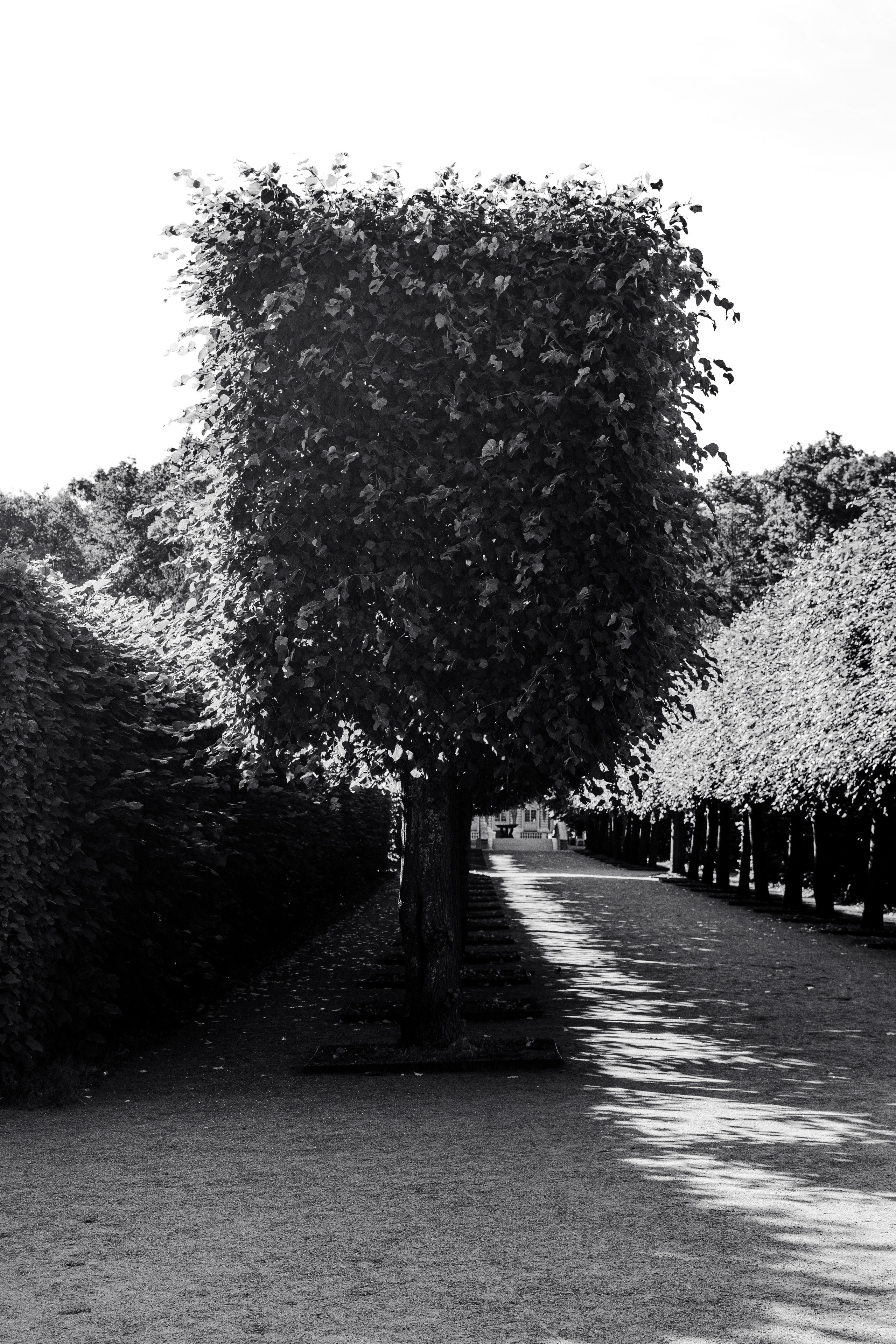 St Petersburg. Photographer Mariia Bortiakova