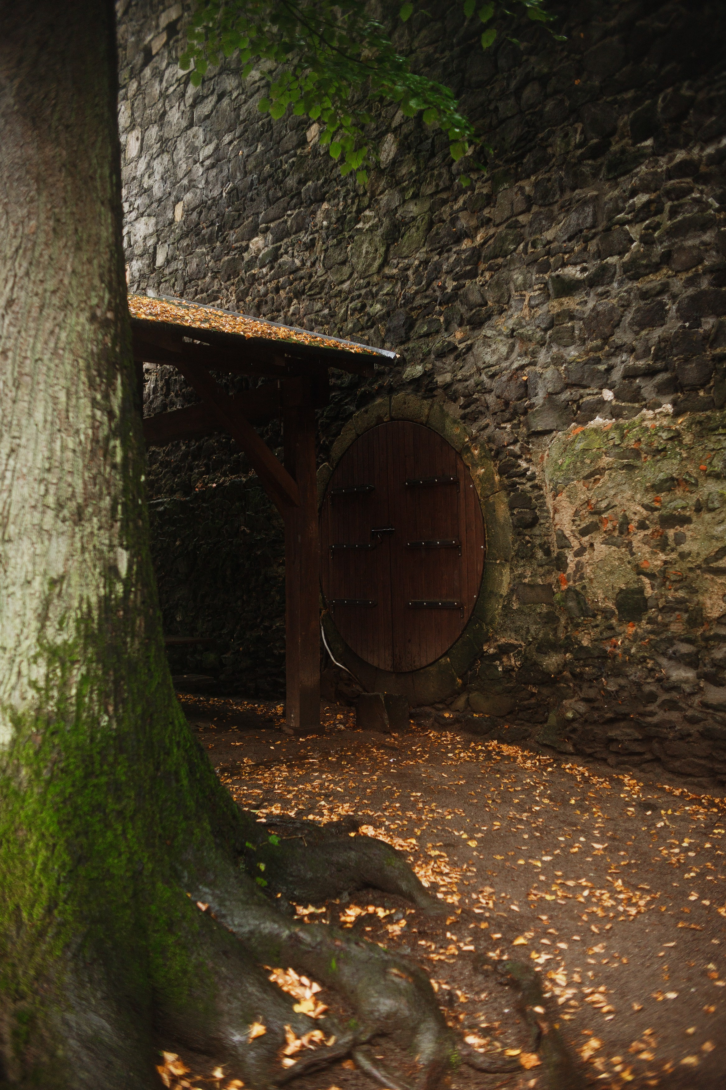 Zamek Grodziec. Kaja | fotograf psów we Wrocławiu