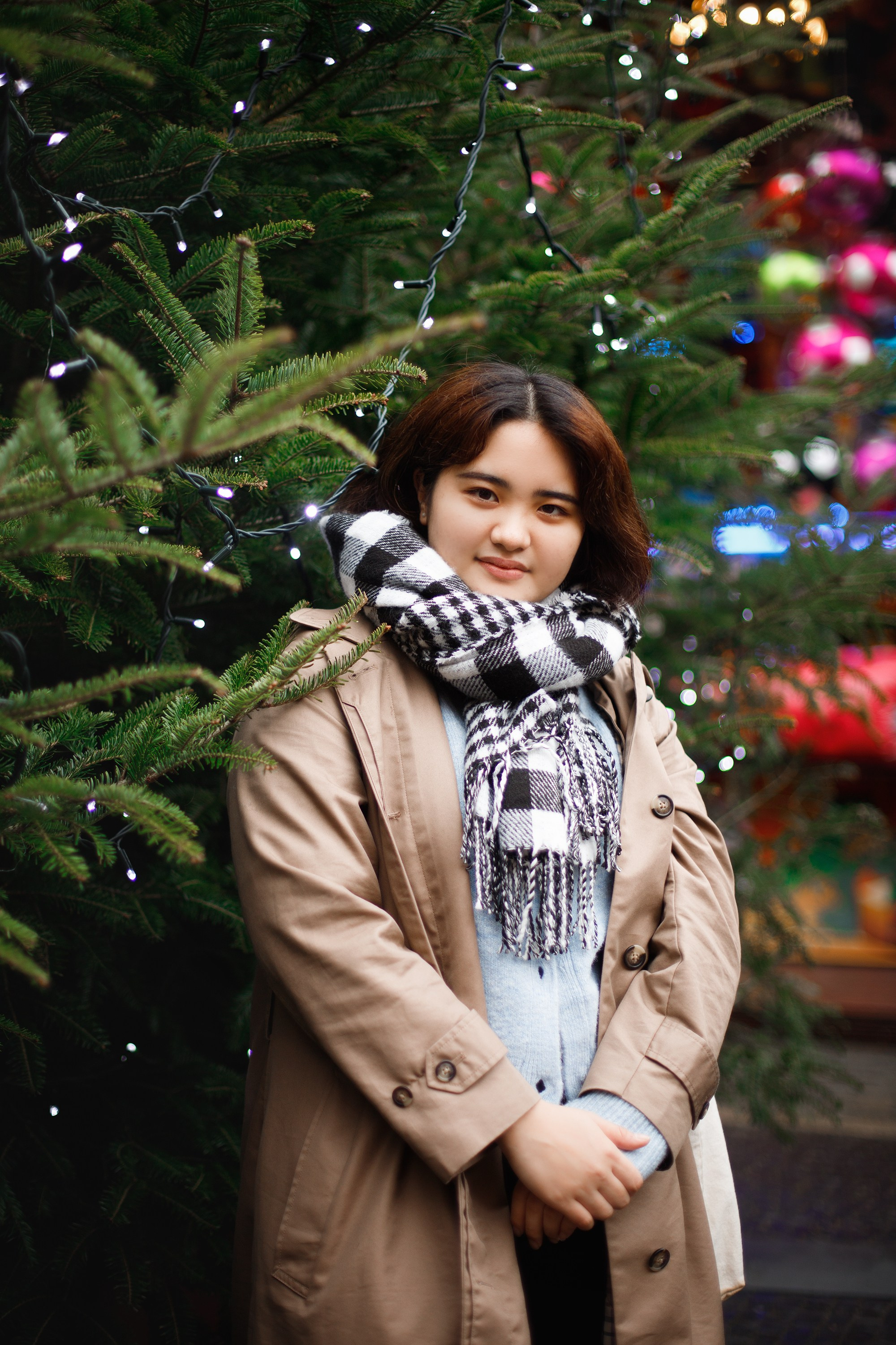 Misaki at christmas market. Kaja | fotograf psów we Wrocławiu