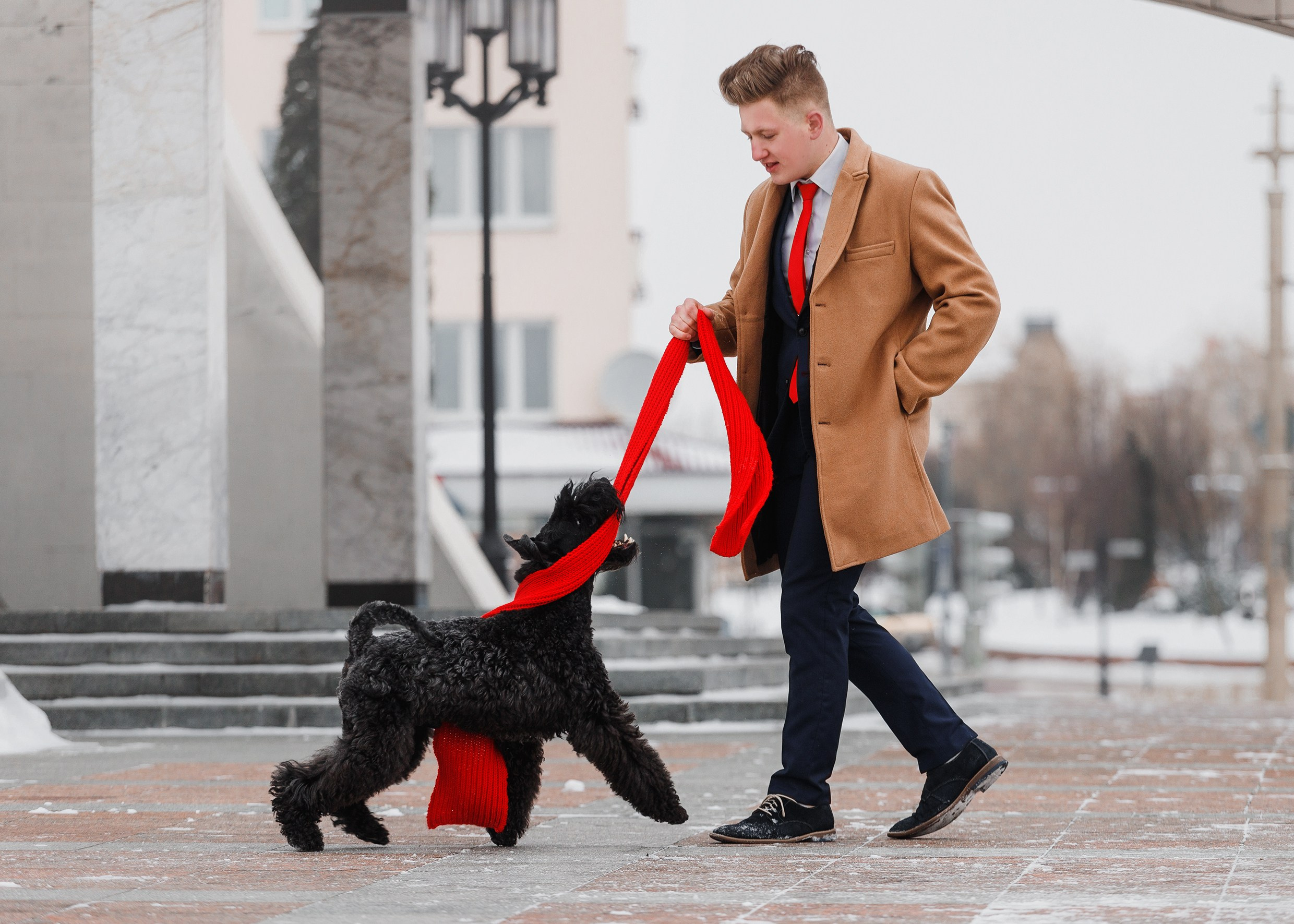 Kerry blue terrier & italian spinone. Kaja | fotograf we Wrocławiu | ludzie i psy