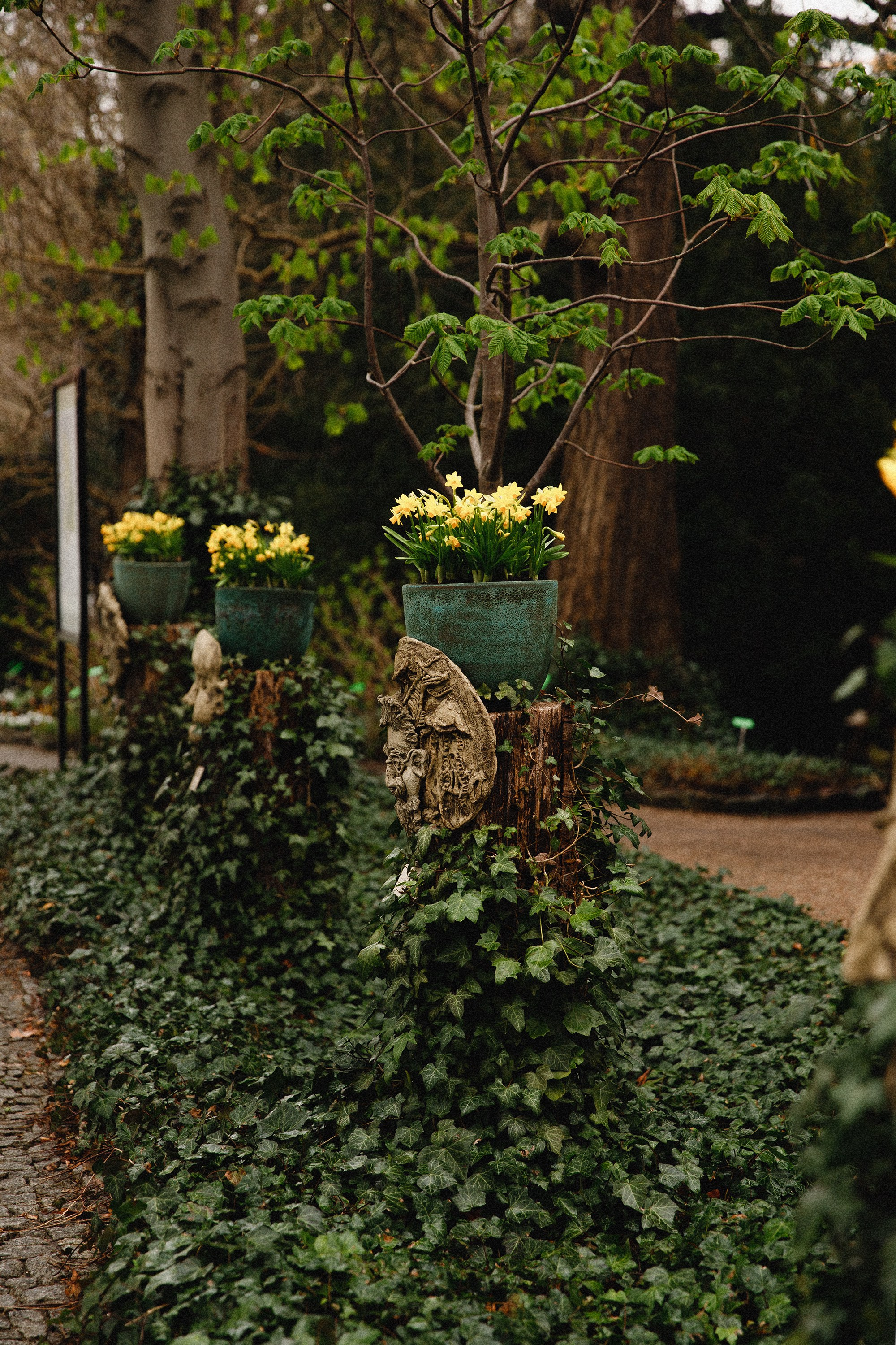 Botanical garden in Wroclaw. Kaja | fotograf we Wrocławiu | ludzie i psy