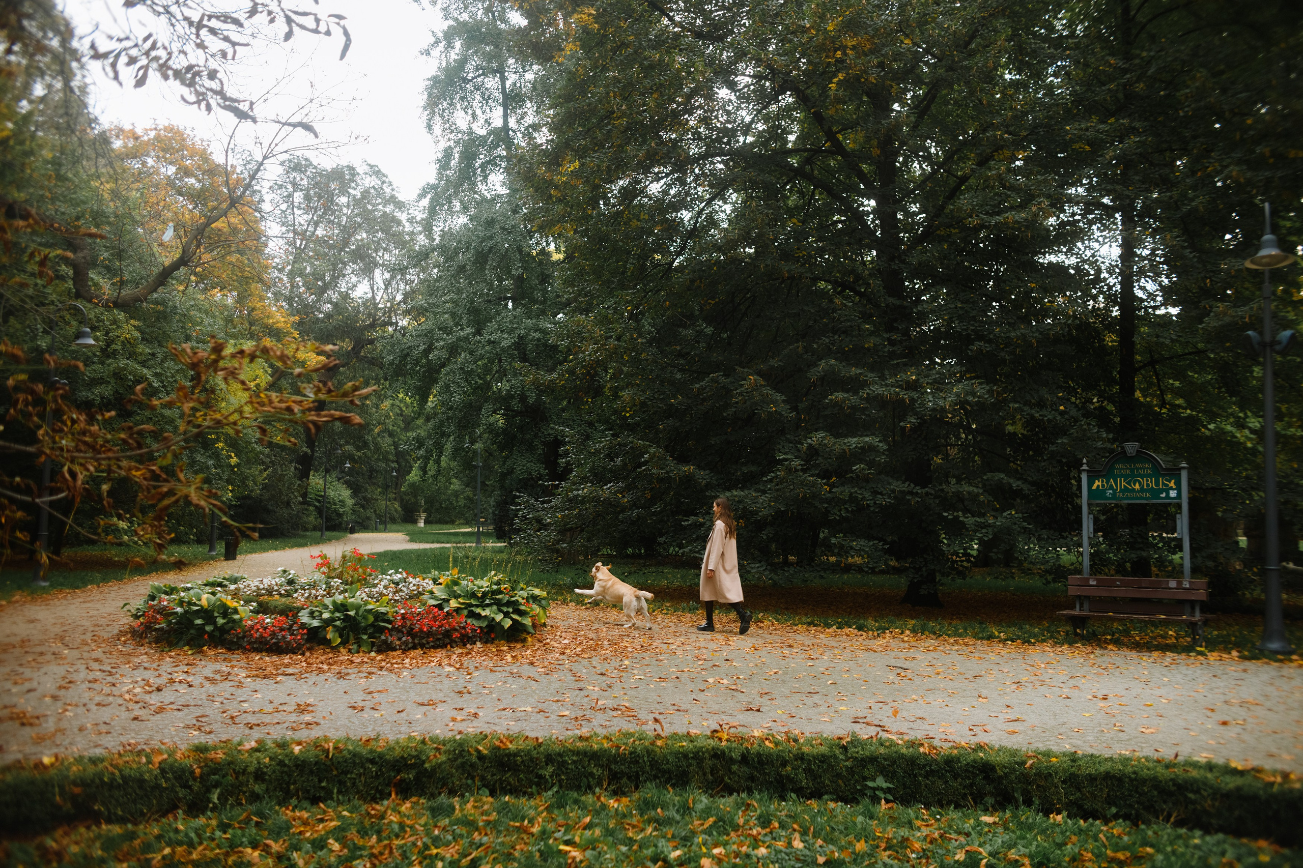 Katya & labrador. Kaja | fotograf psów we Wrocławiu