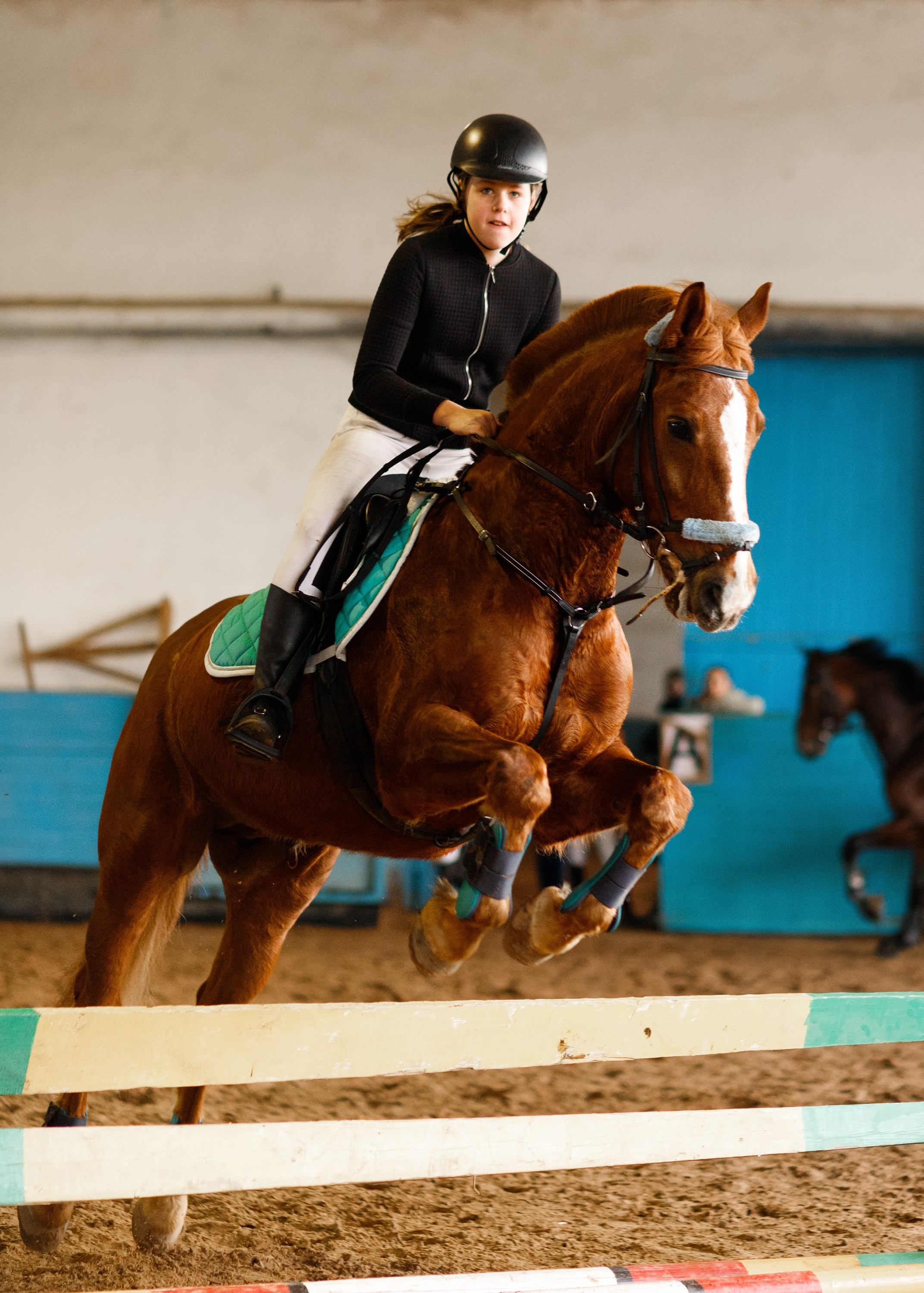 Winter show jumping in «Progress». Kaja | fotograf we Wrocławiu | ludzie i psy