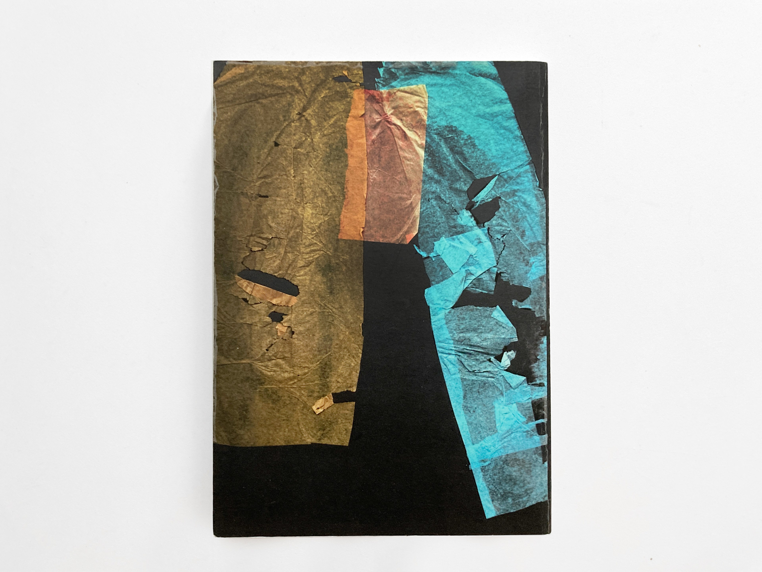 Муха в янтаре. Sveta Kaverina