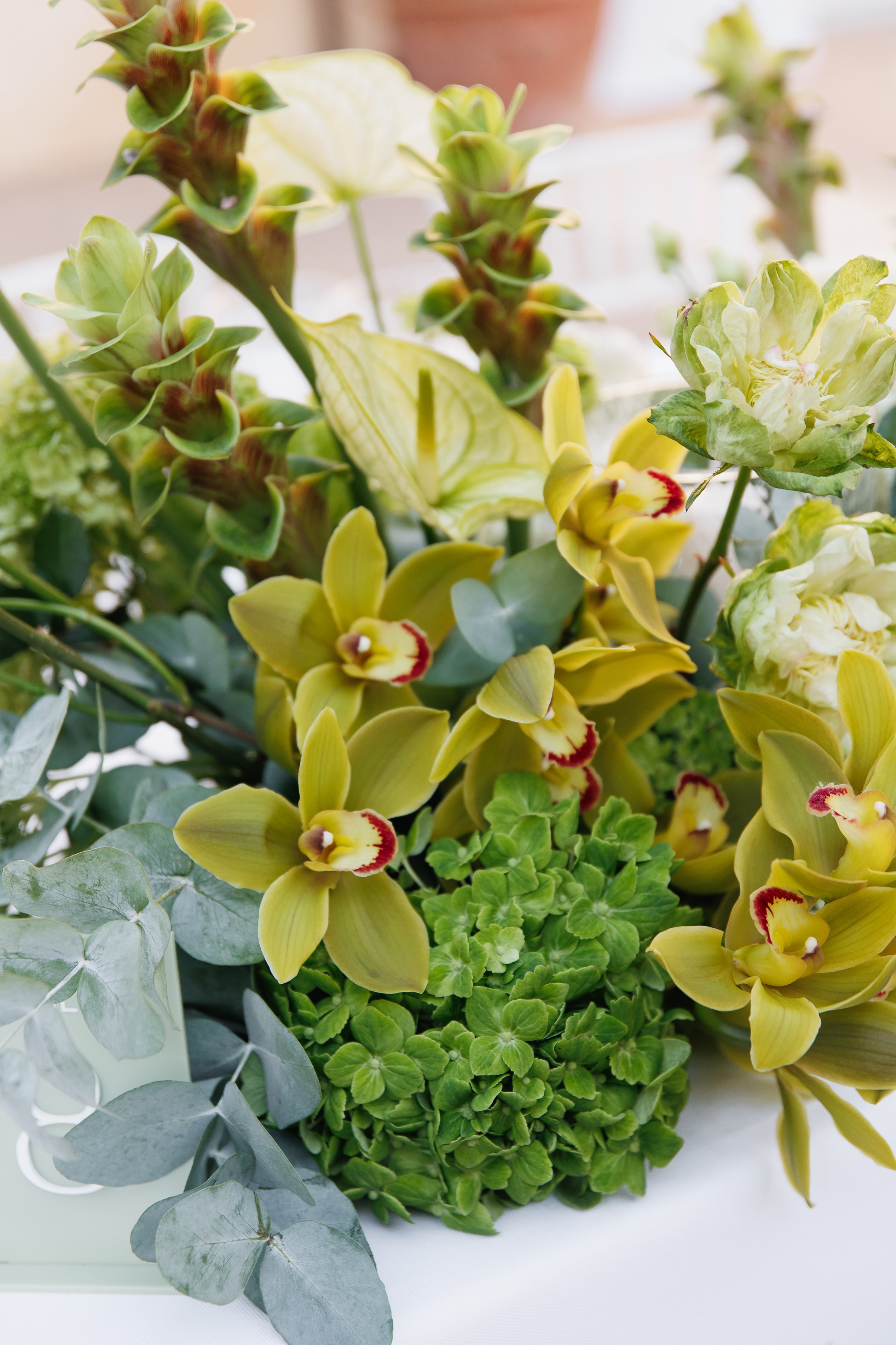 Wedding photographer Italy Rome, Tuscany, Lake Como, Sicily, Puglia. Wedding Photographer Rome Tuscany Como Sicily Puglia Amalfy Italy- Oksana Savenchuk