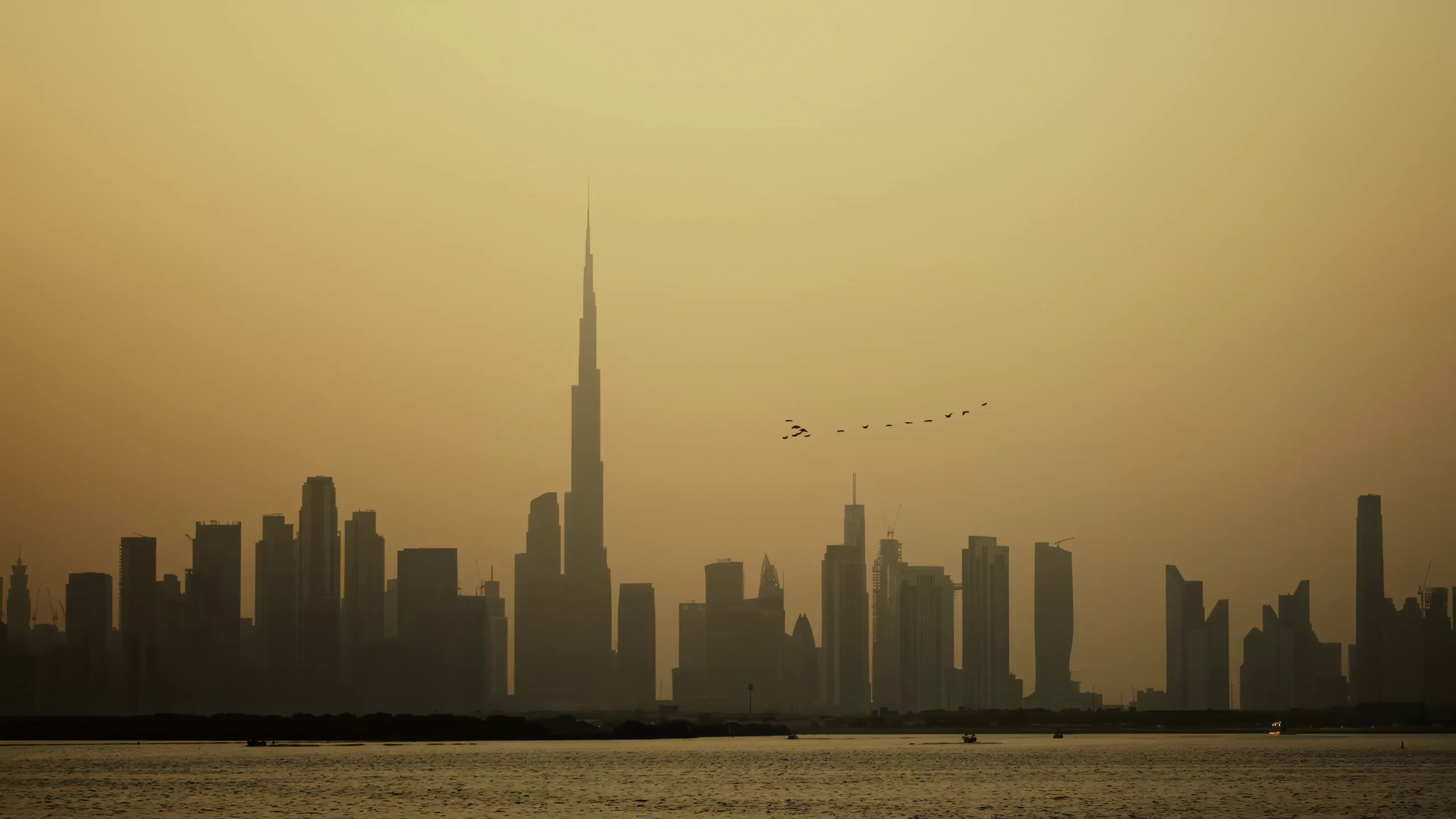 Portfolio Video. Vitalii Honiukov | Photography production based in Dubai, UAE