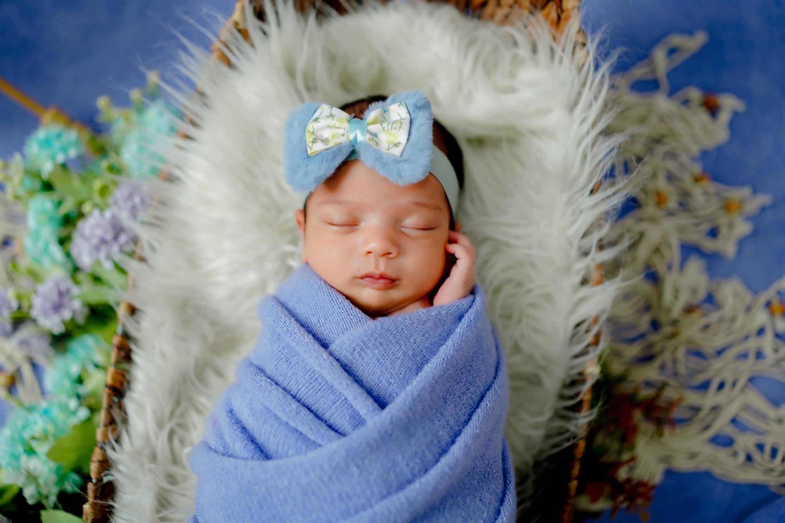 New born. TNF photo & filming