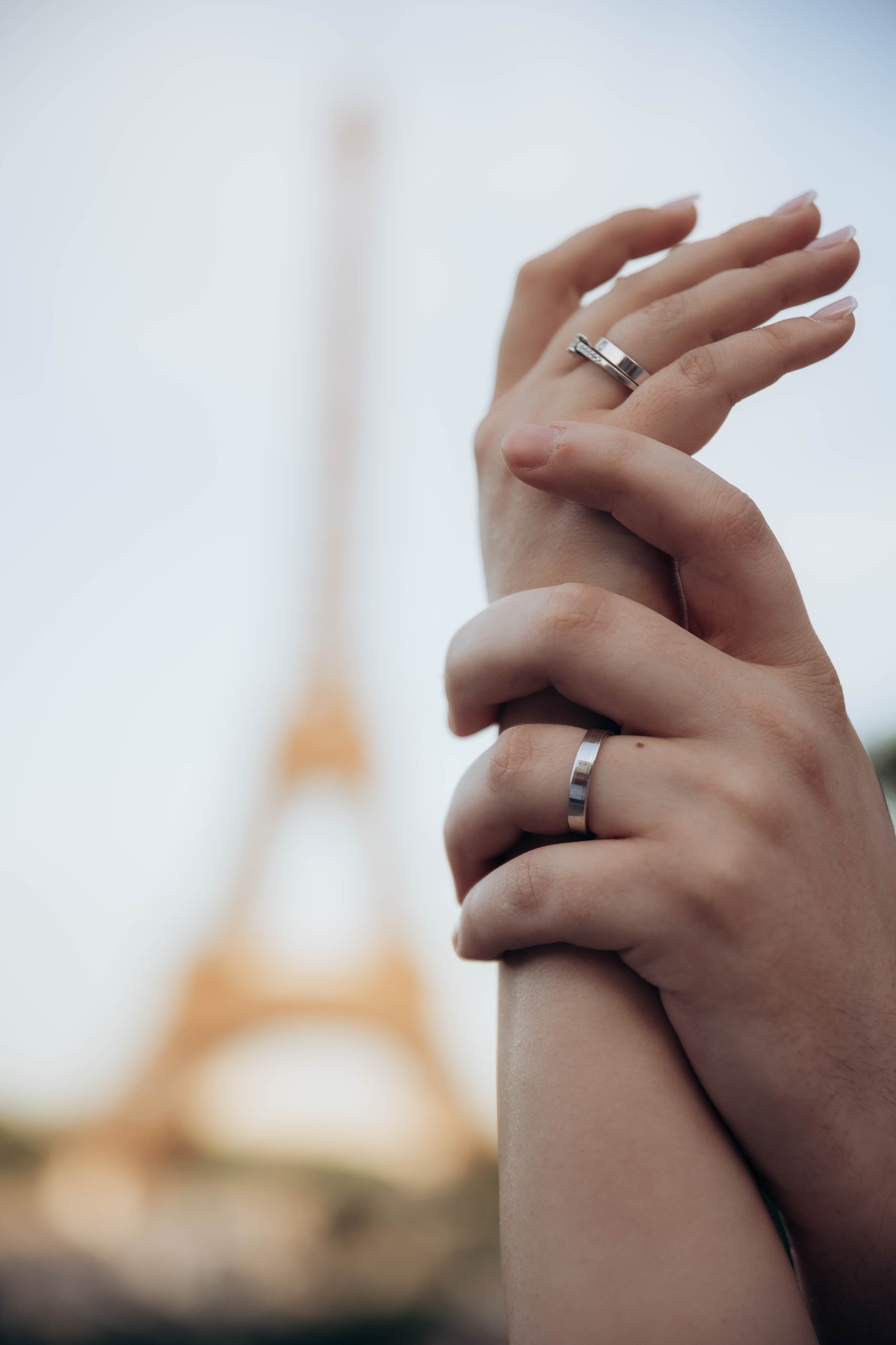 Dimitria & Ionuț. Ana Iacob|Fotograf de Nunta Iași