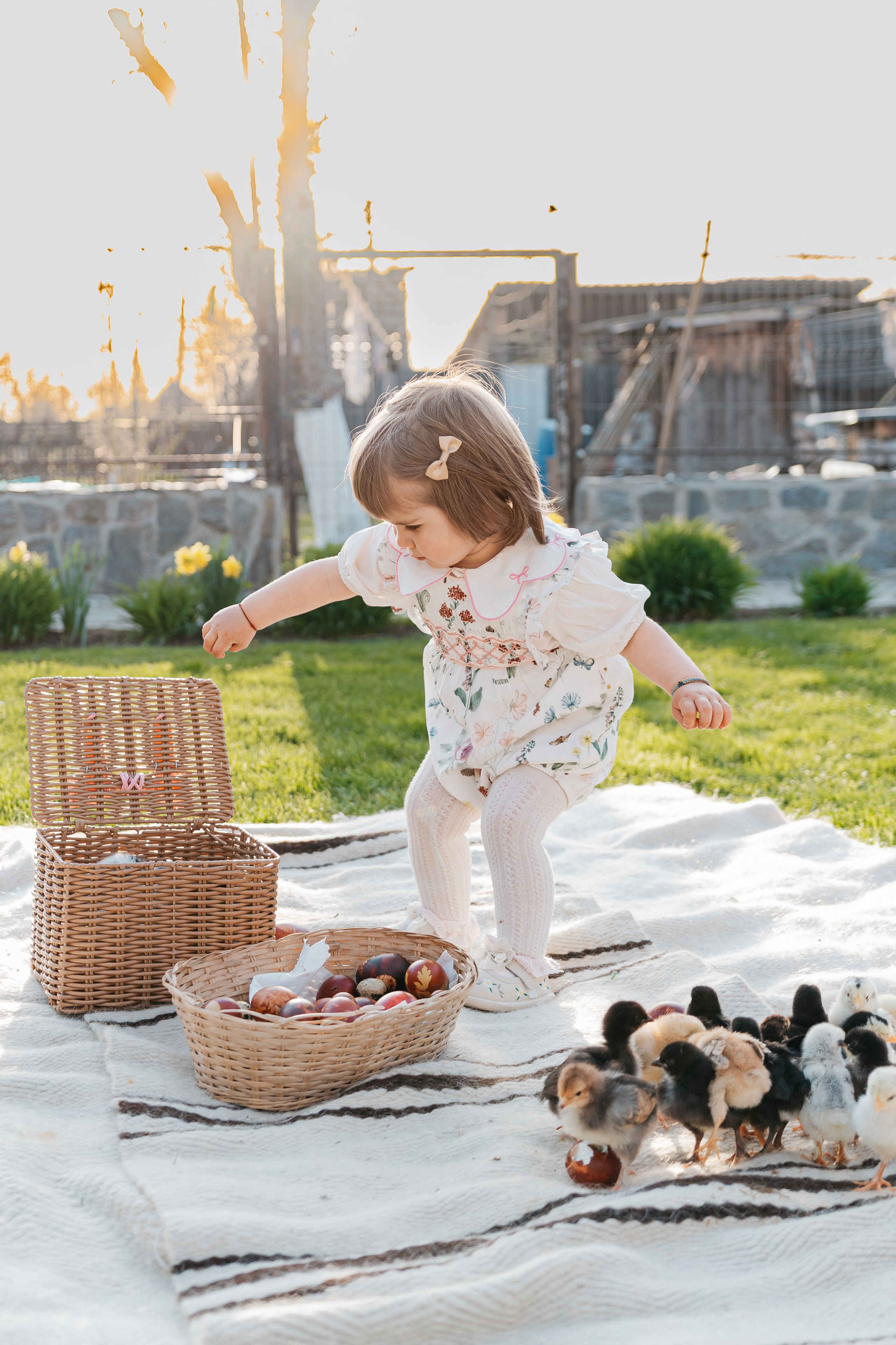 EASTER. Ars Vidi | Digital Solutions