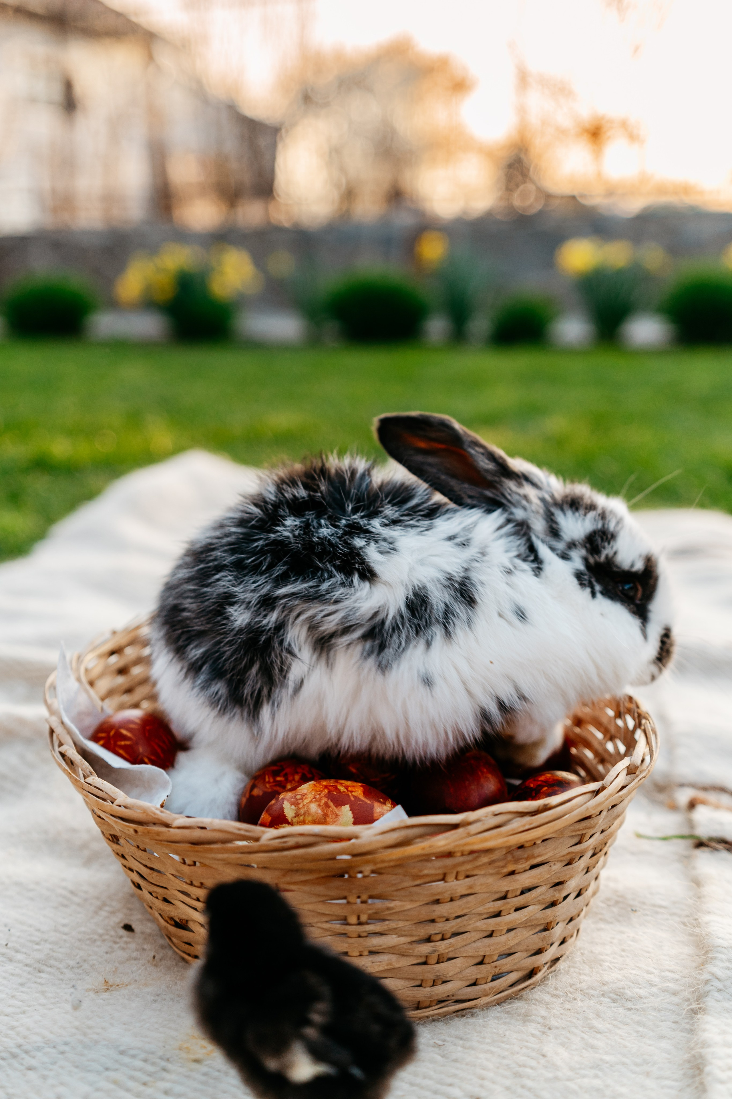 EASTER. Ars Vidi | Digital Solutions
