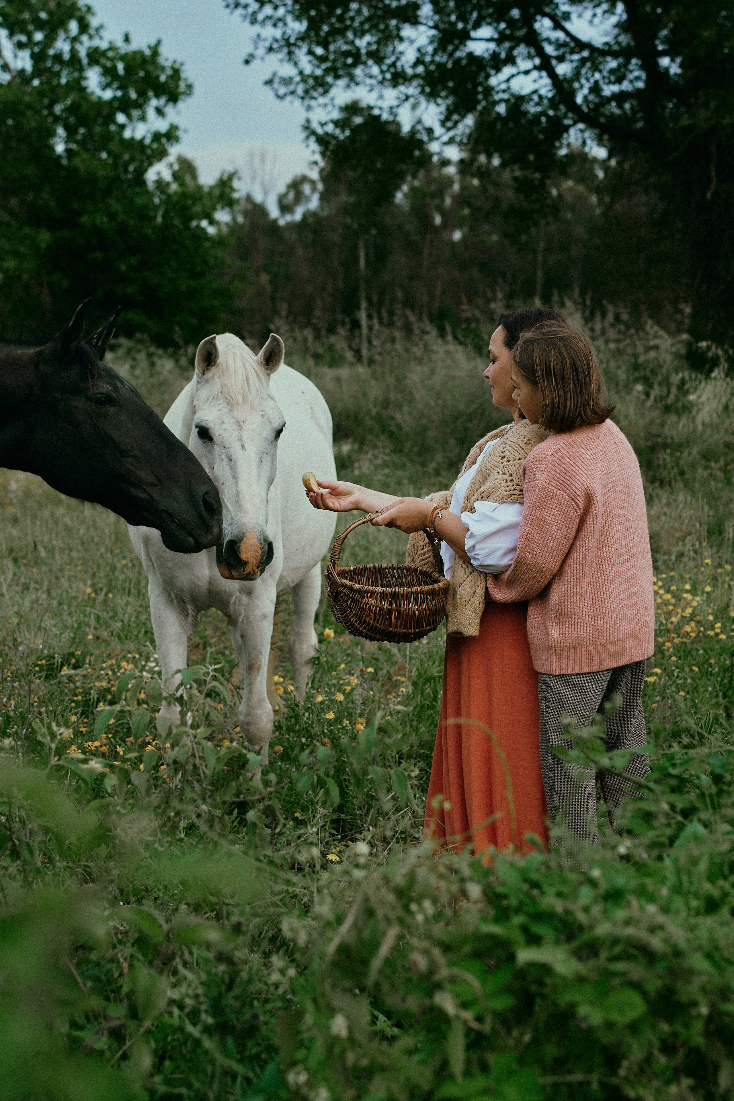 Летний день с лошадьми. Fotógrafa en España Zhanna Zakharchenko