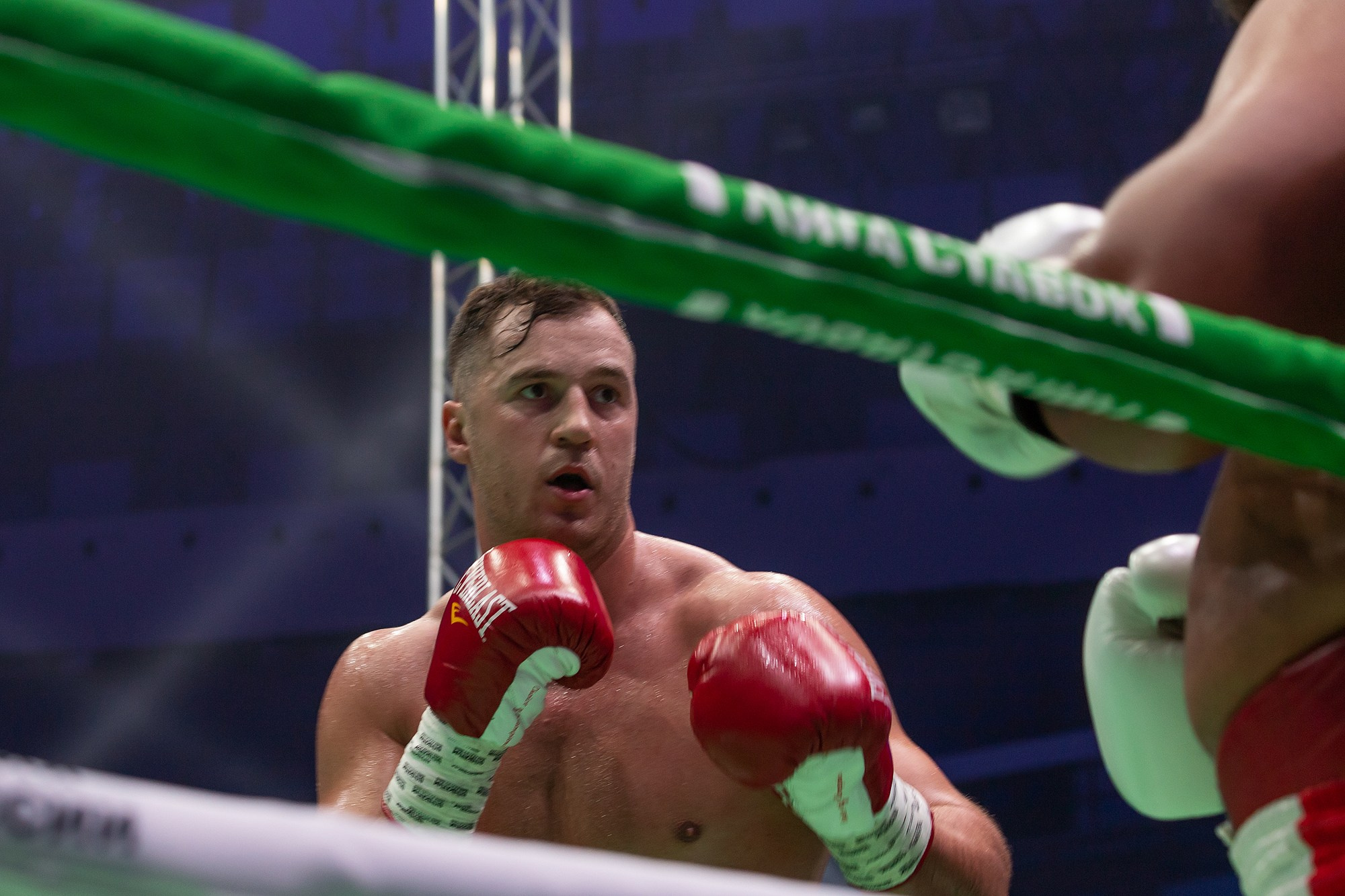 Zweites Allrussisches Boxforum. Fotofrafin in Deutschland