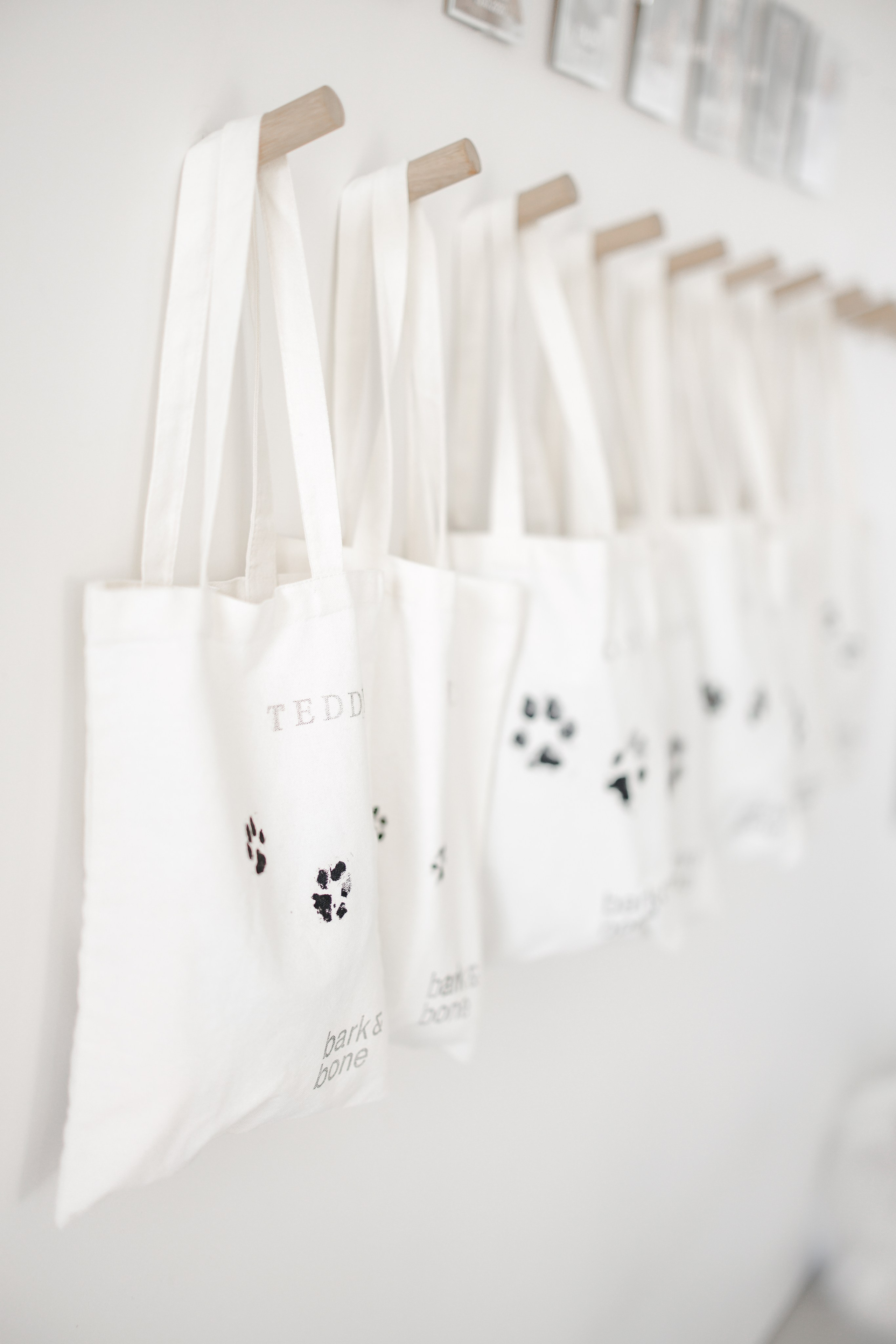 Bark & Bones. Familien- & Hochzeitsfotografin Schweiz. Valeria Diaz in Zürich und Umgebung