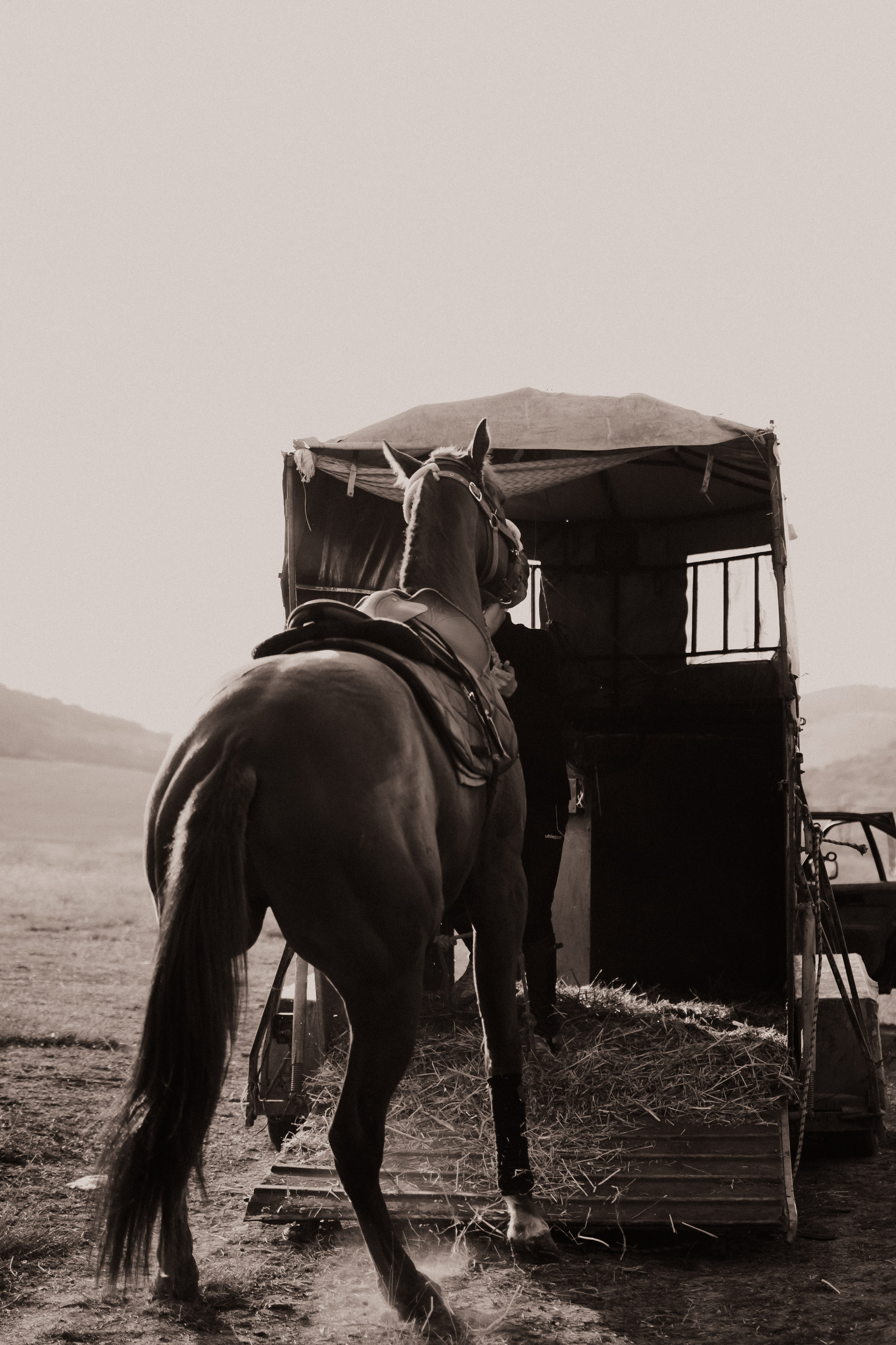 Riding Georgia. Lidia Golovina, Photographer in Tbilisi