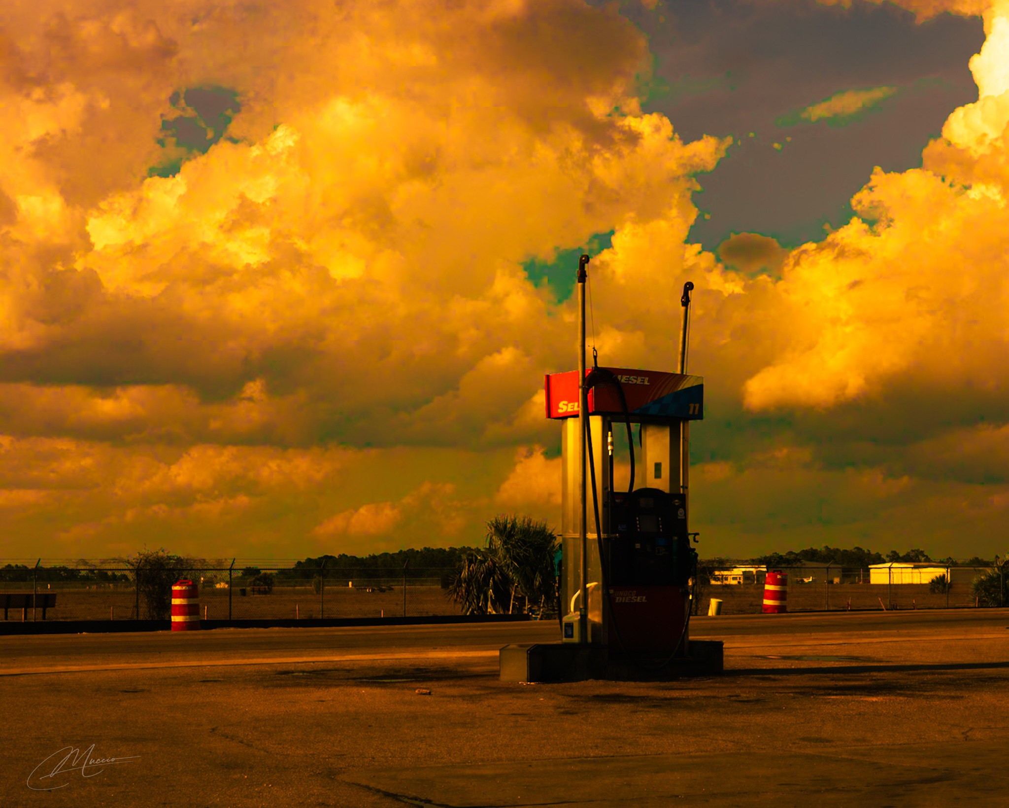 Immokolee. Out and About 239