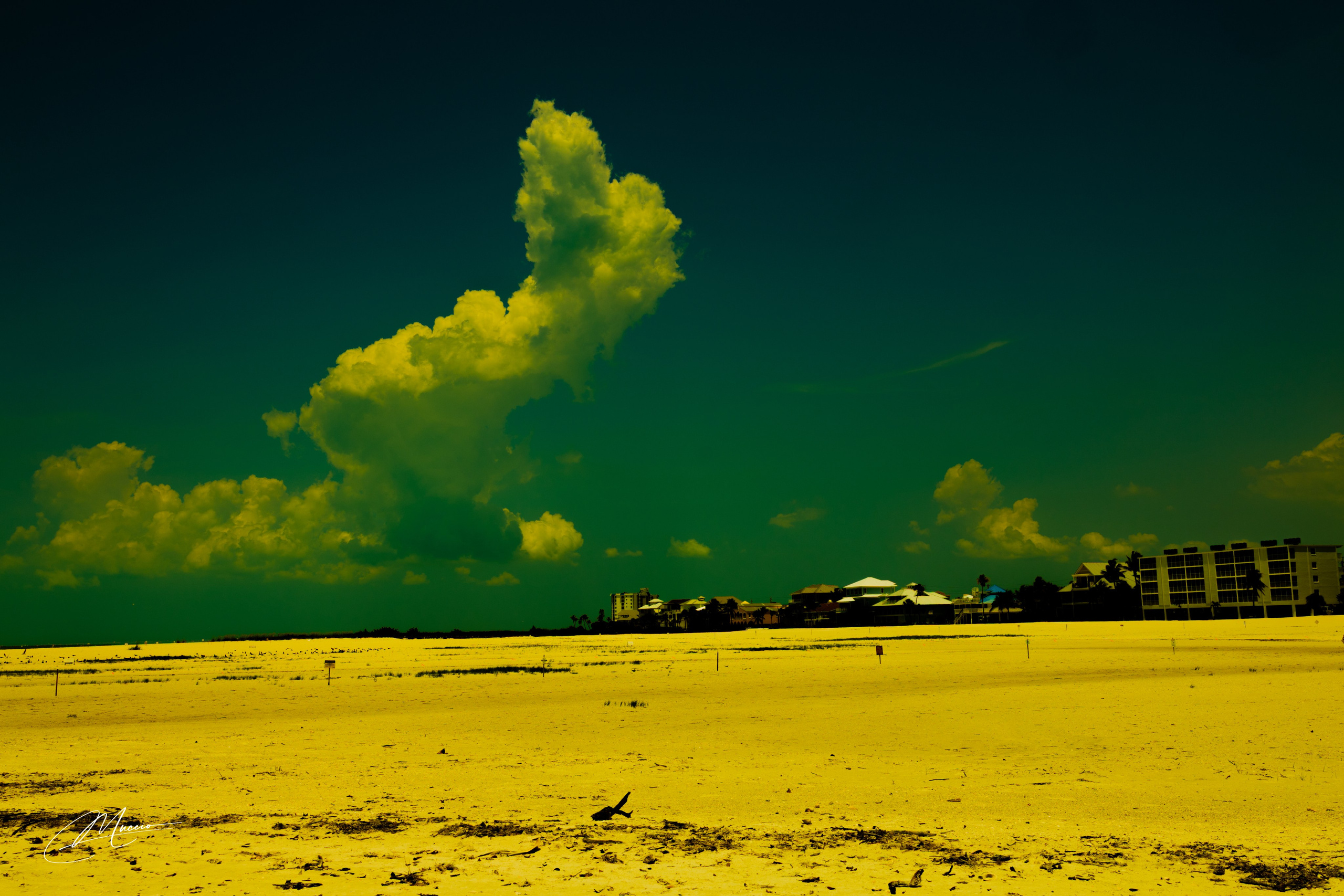 Fort Myers. Out and About 239