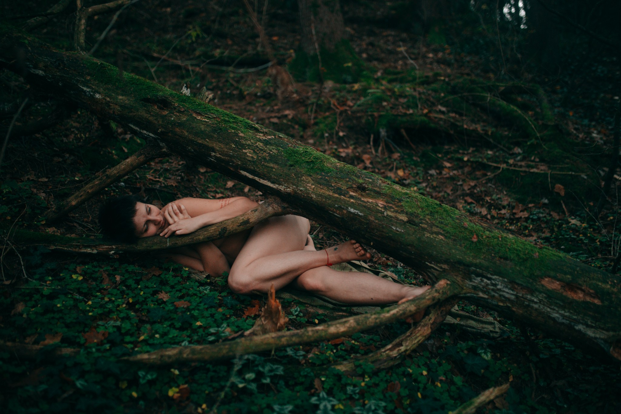 Жива. Главная