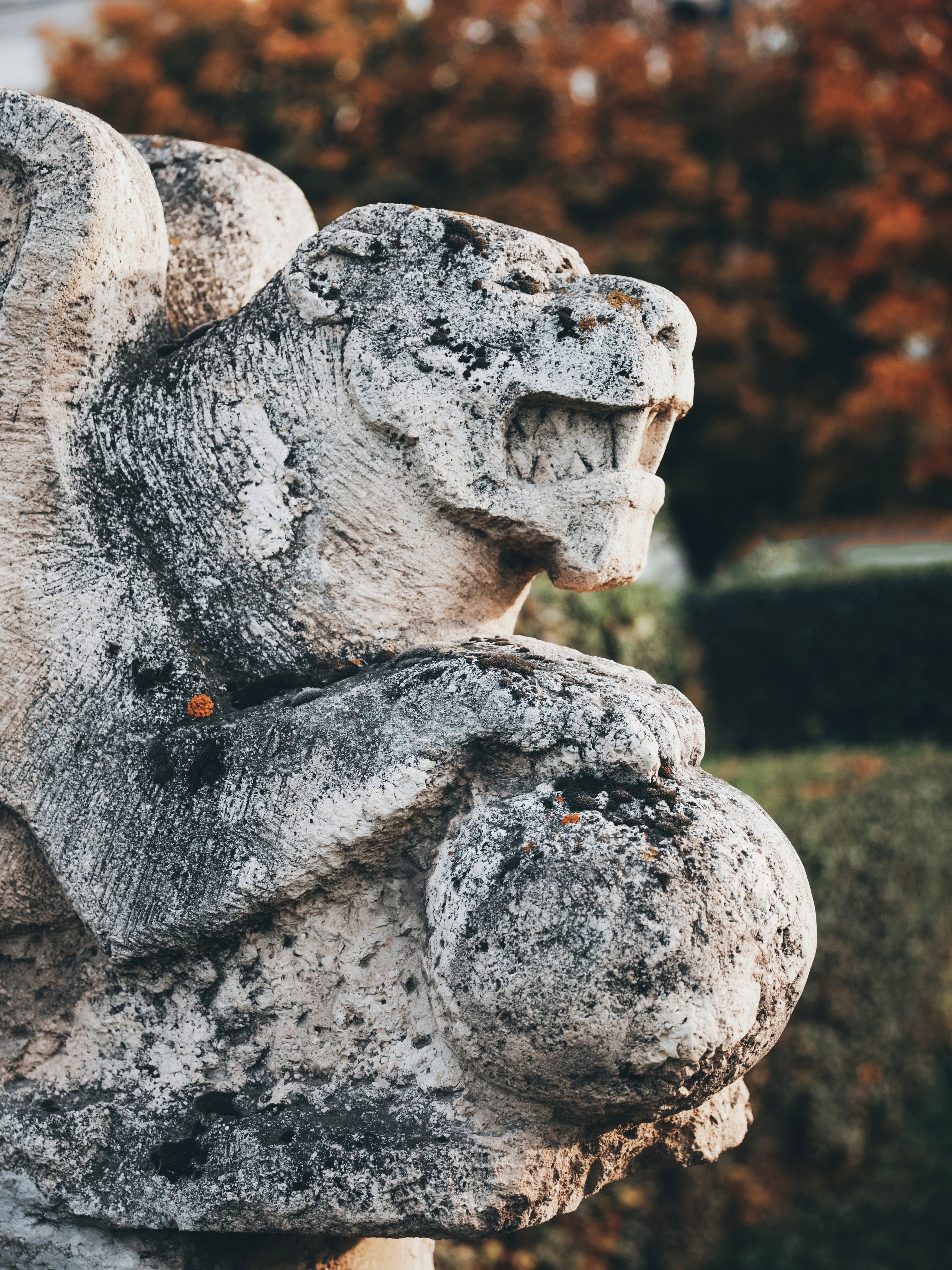 Кармин. Валерия Вартанова. Фотограф