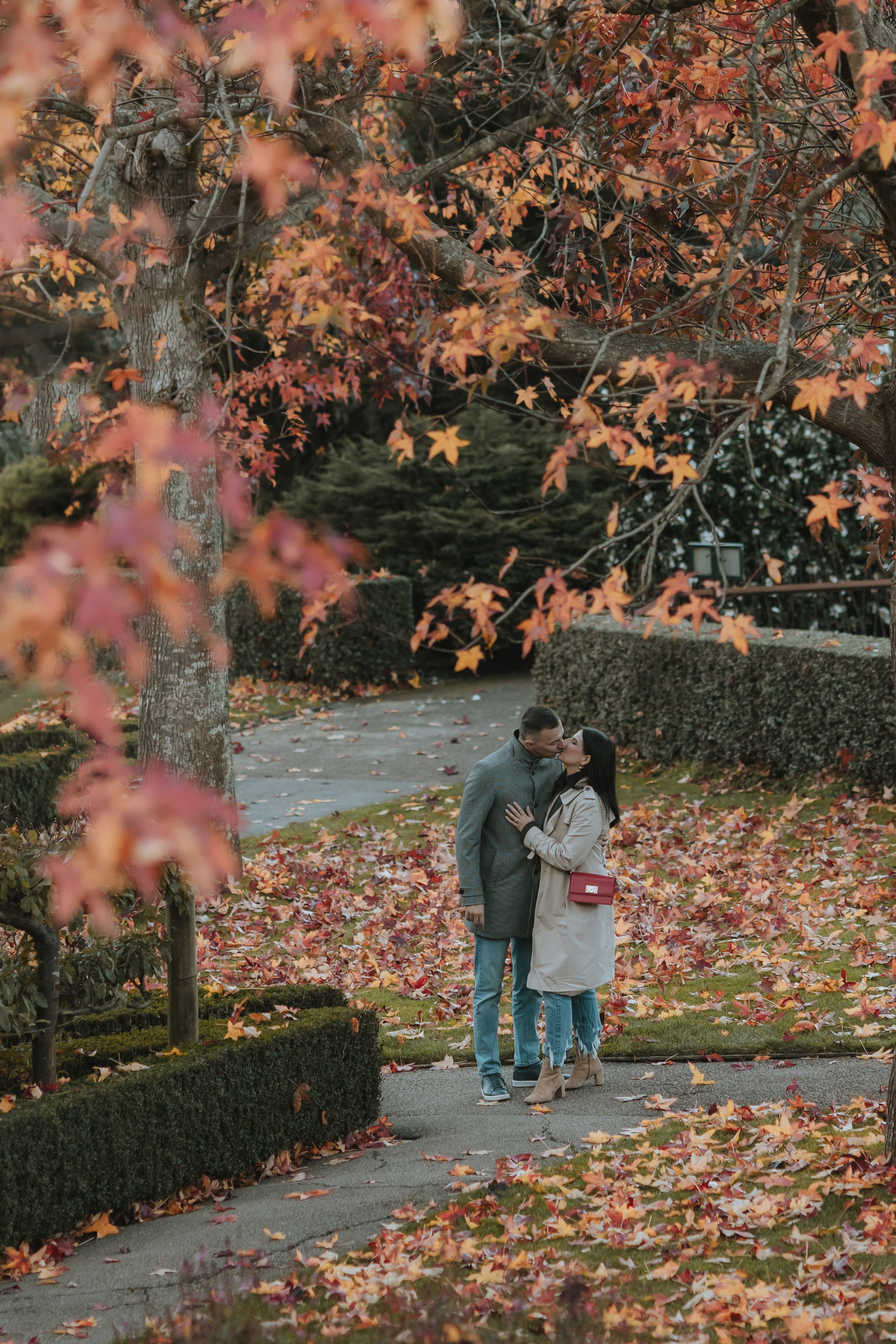 Maternity & Family | Elysium Lens