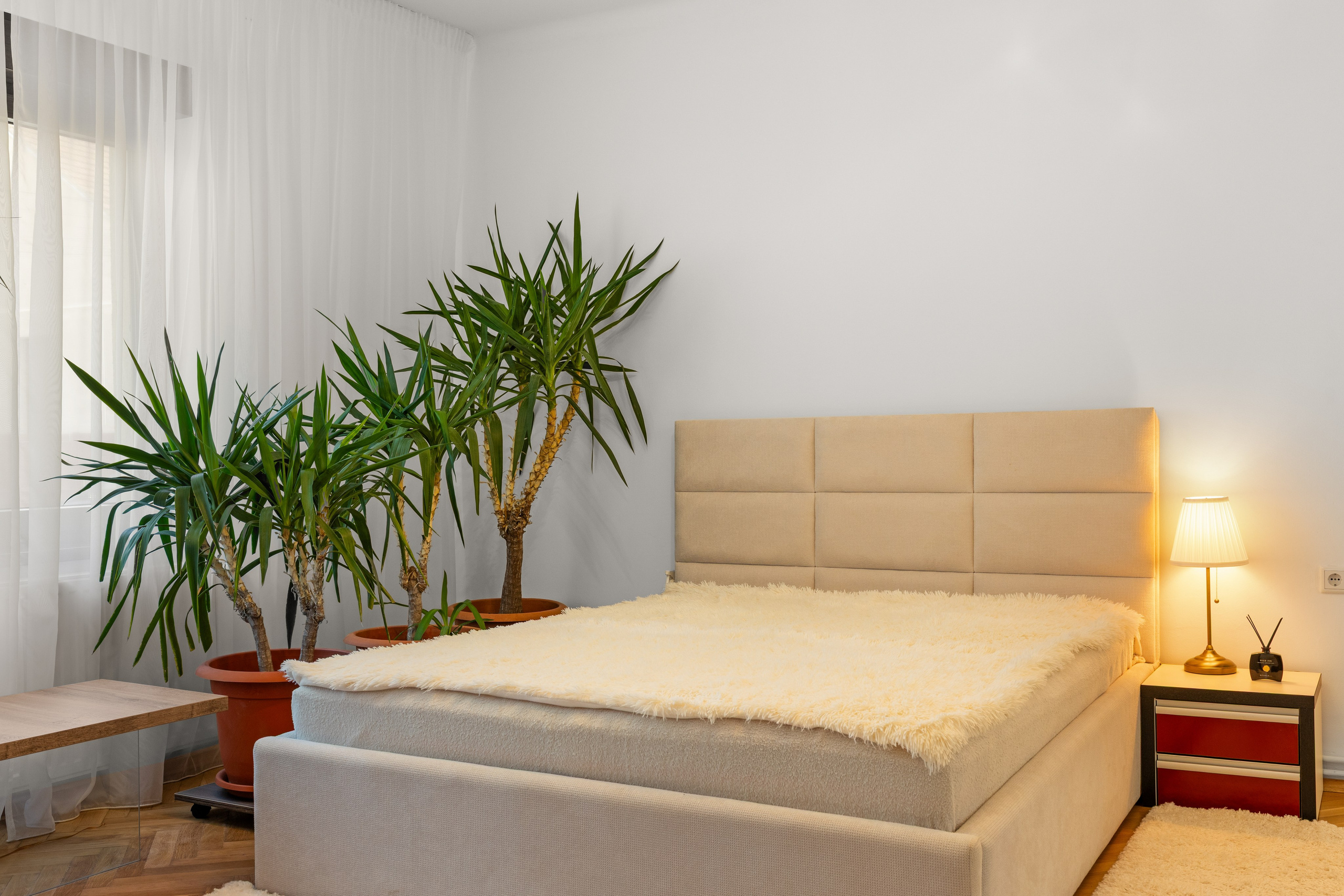 INTERIOR - REALESTATE. Samuel Ciobanu
