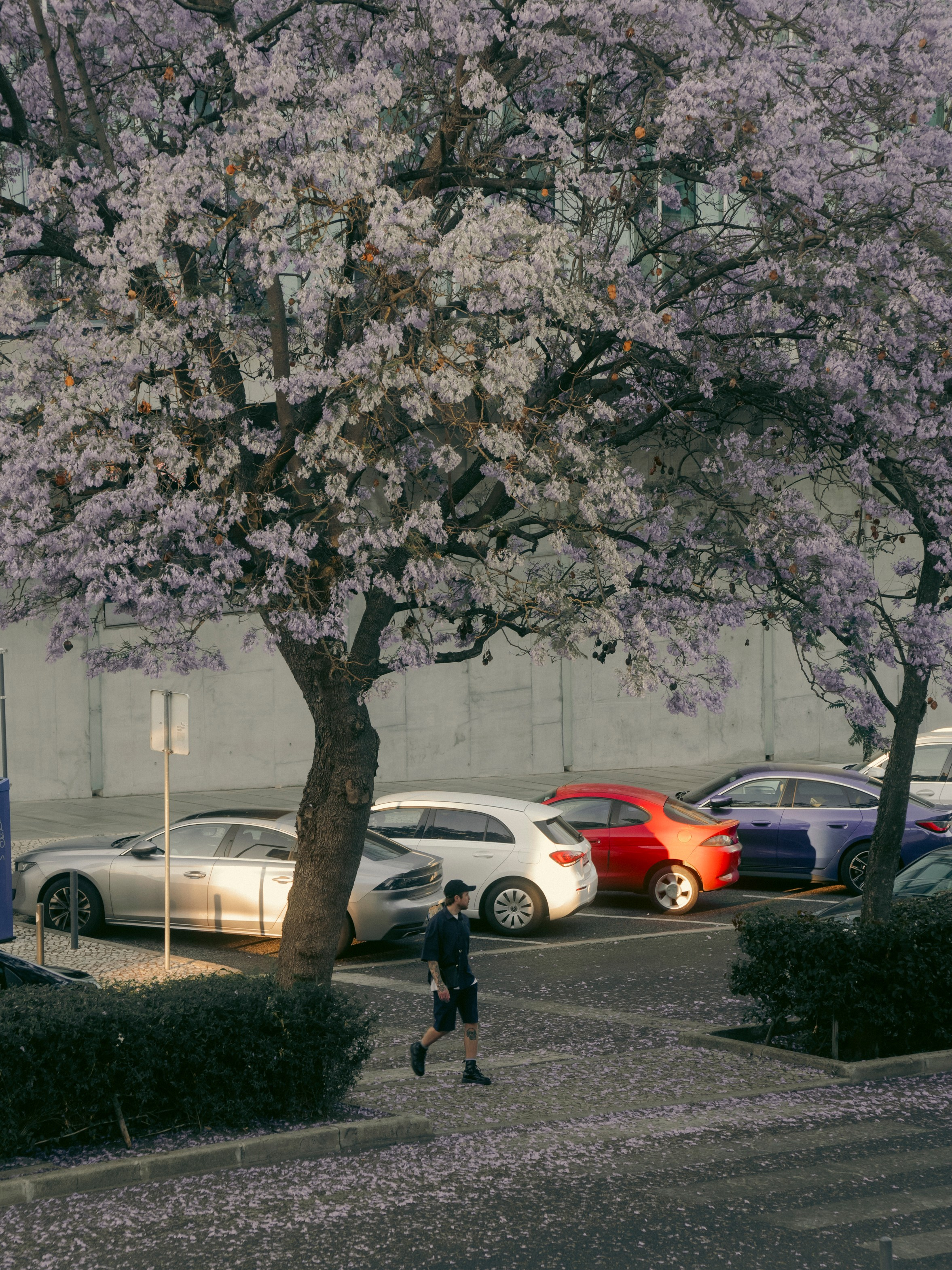 Roma. Lisbon Event Photographer