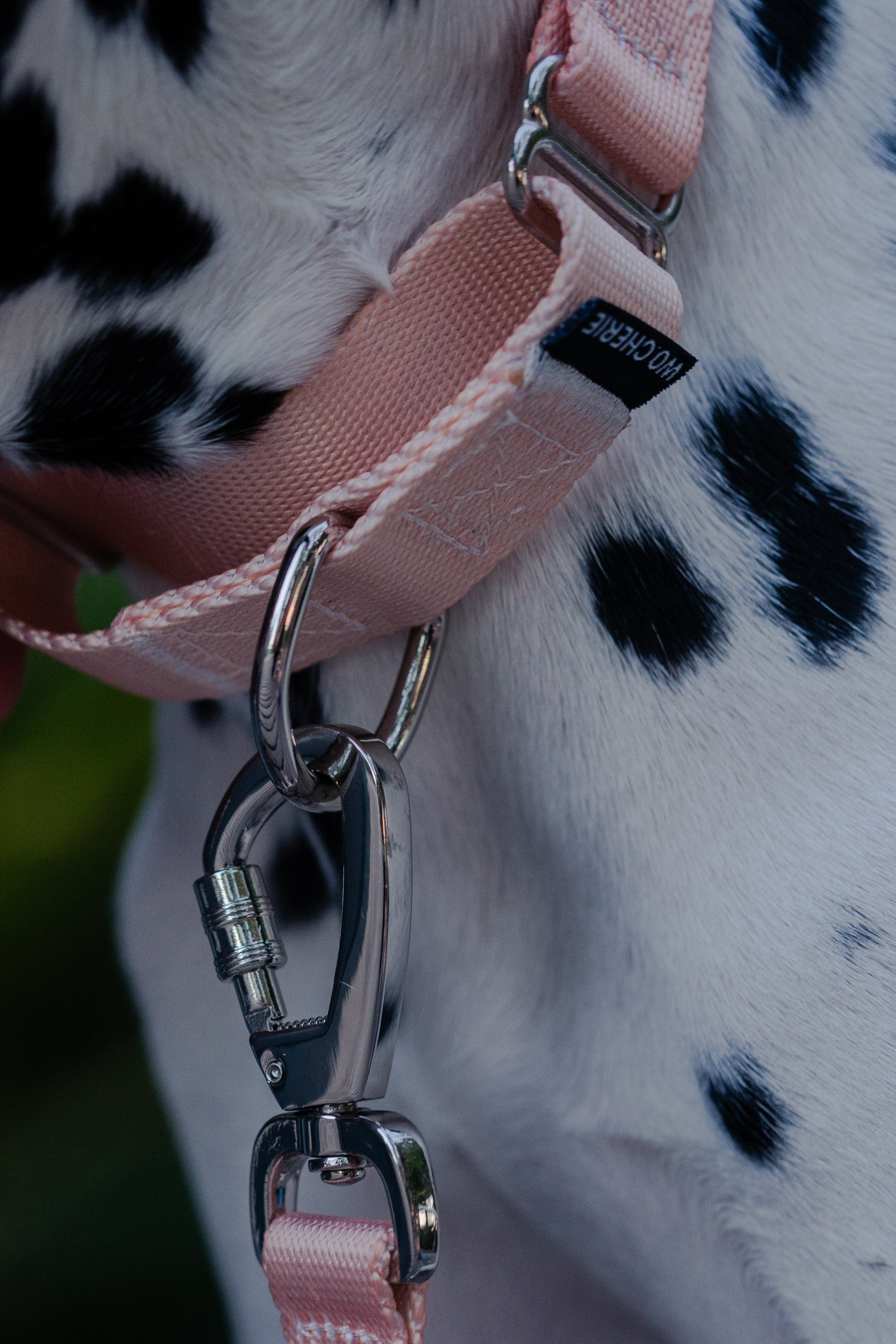 Wo.cherie. Lisbon Event Photographer