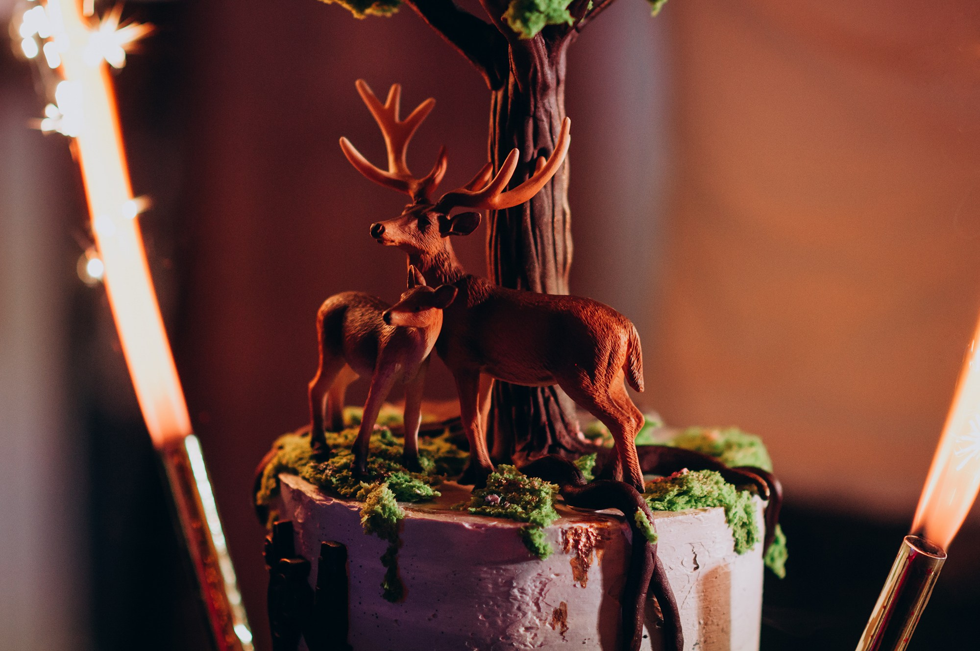 Назар та Дарина. Весільний фотограф та відеограф в Києві