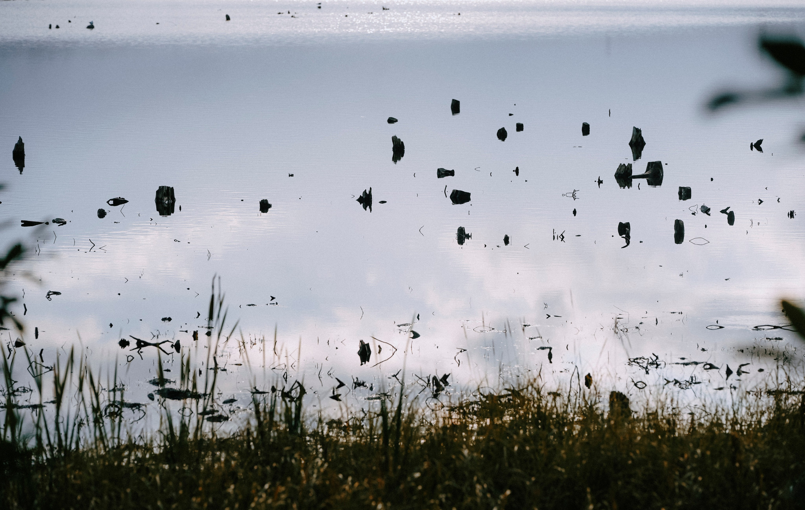 2024. Стрит-фотография, полная абсурда, идиотизма и красоты