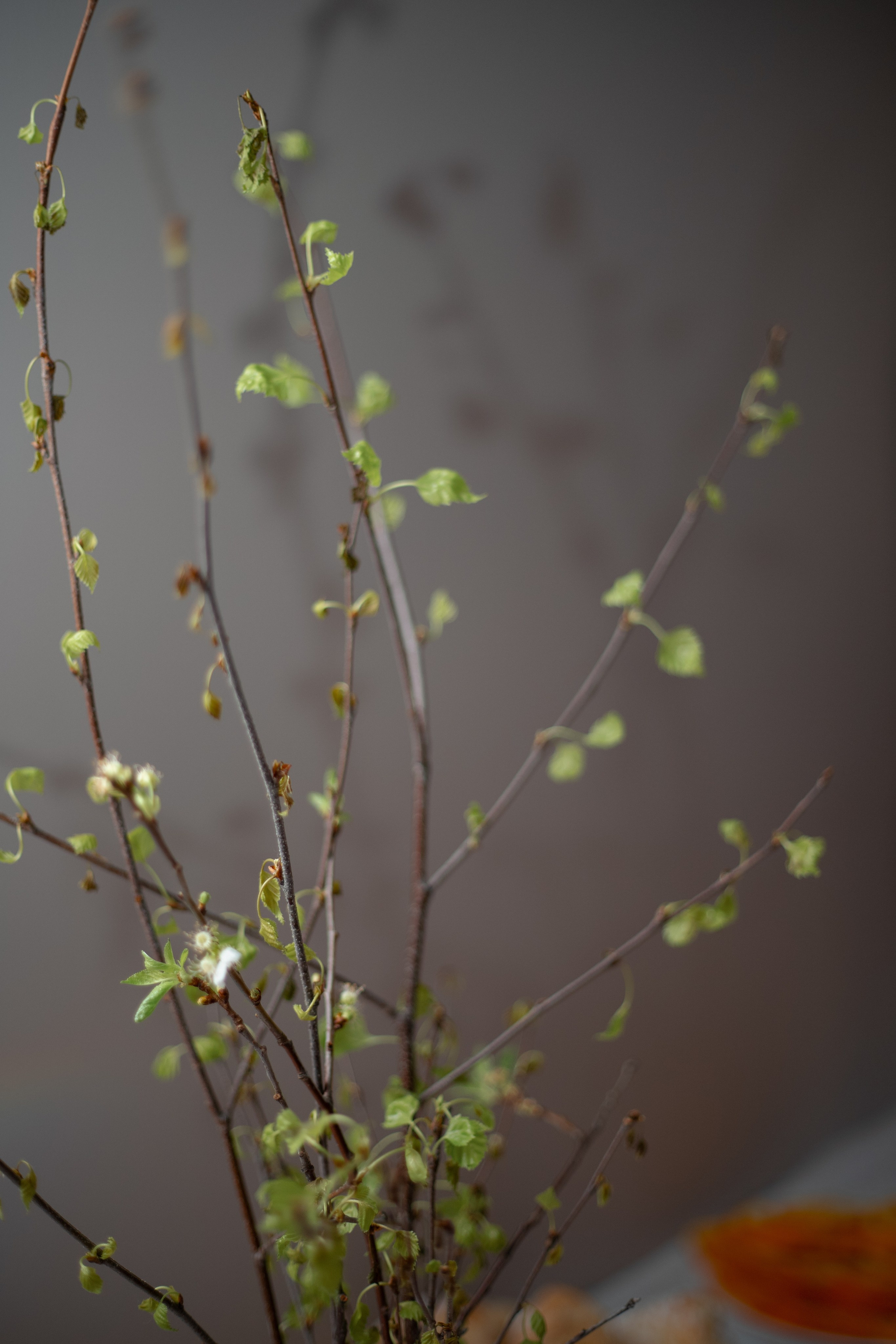 Created for hapiness. Photographer Inna Kalmykova