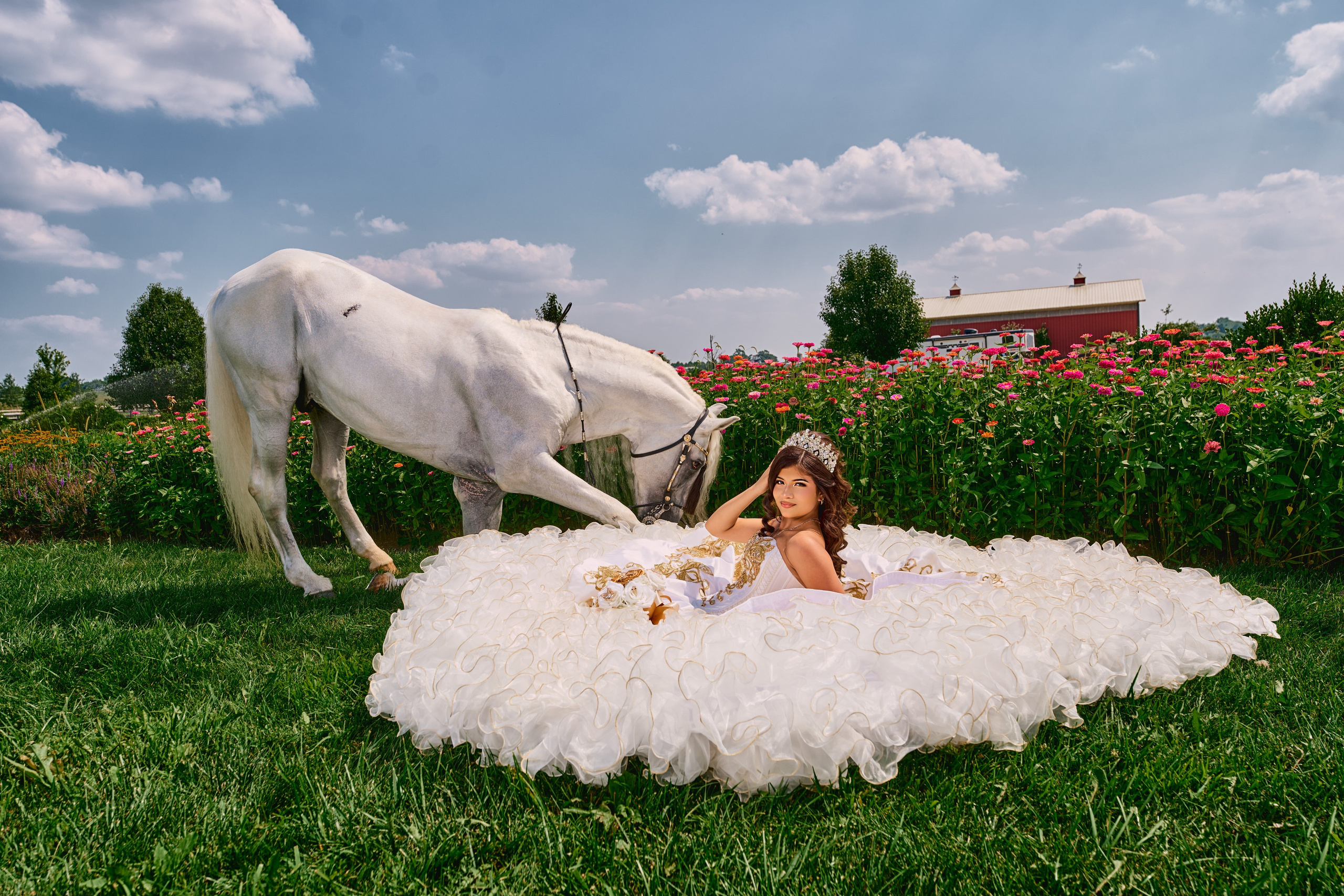 Quinceañeras. Portraits, Quinceanera & Weddings Photographer