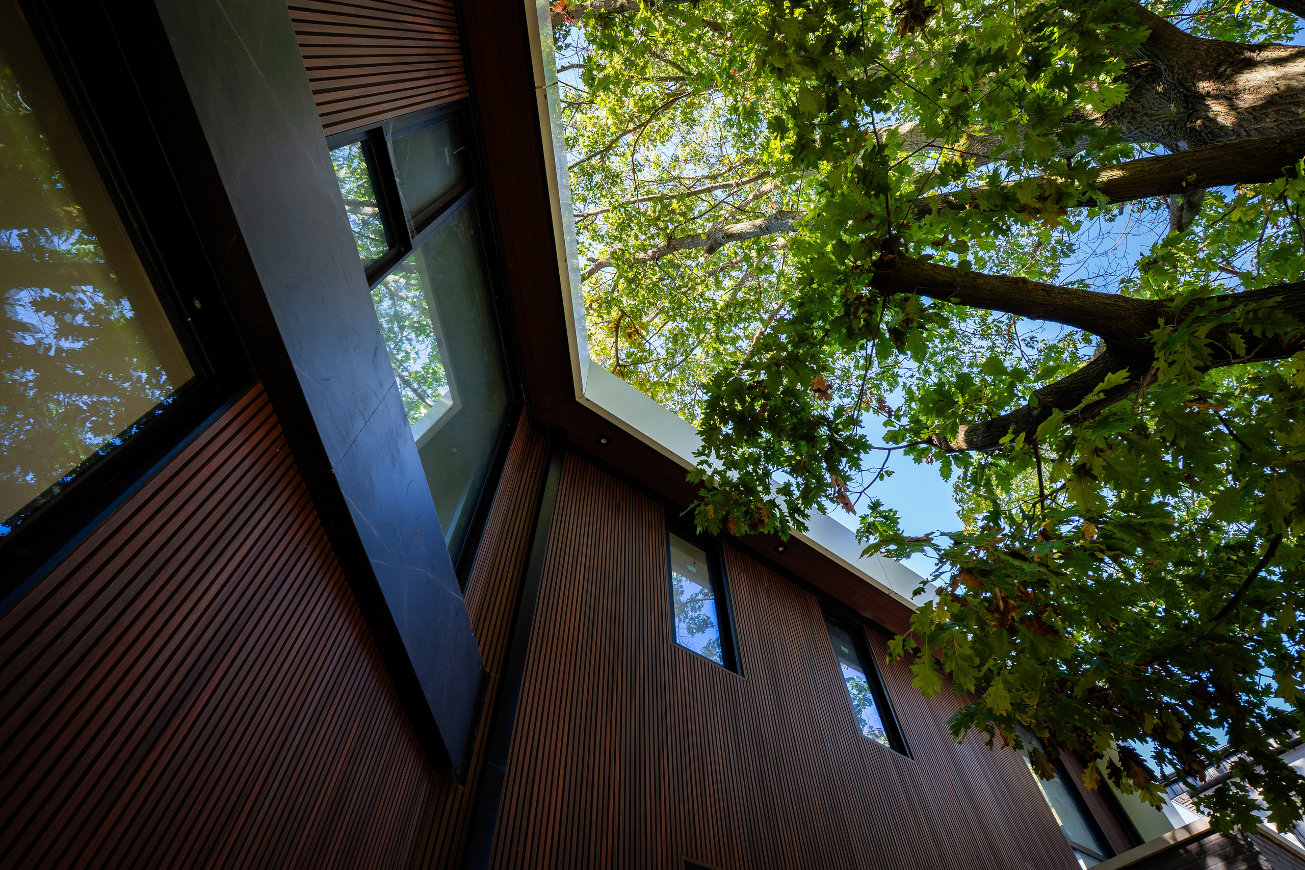 Architecture. Eleven Films