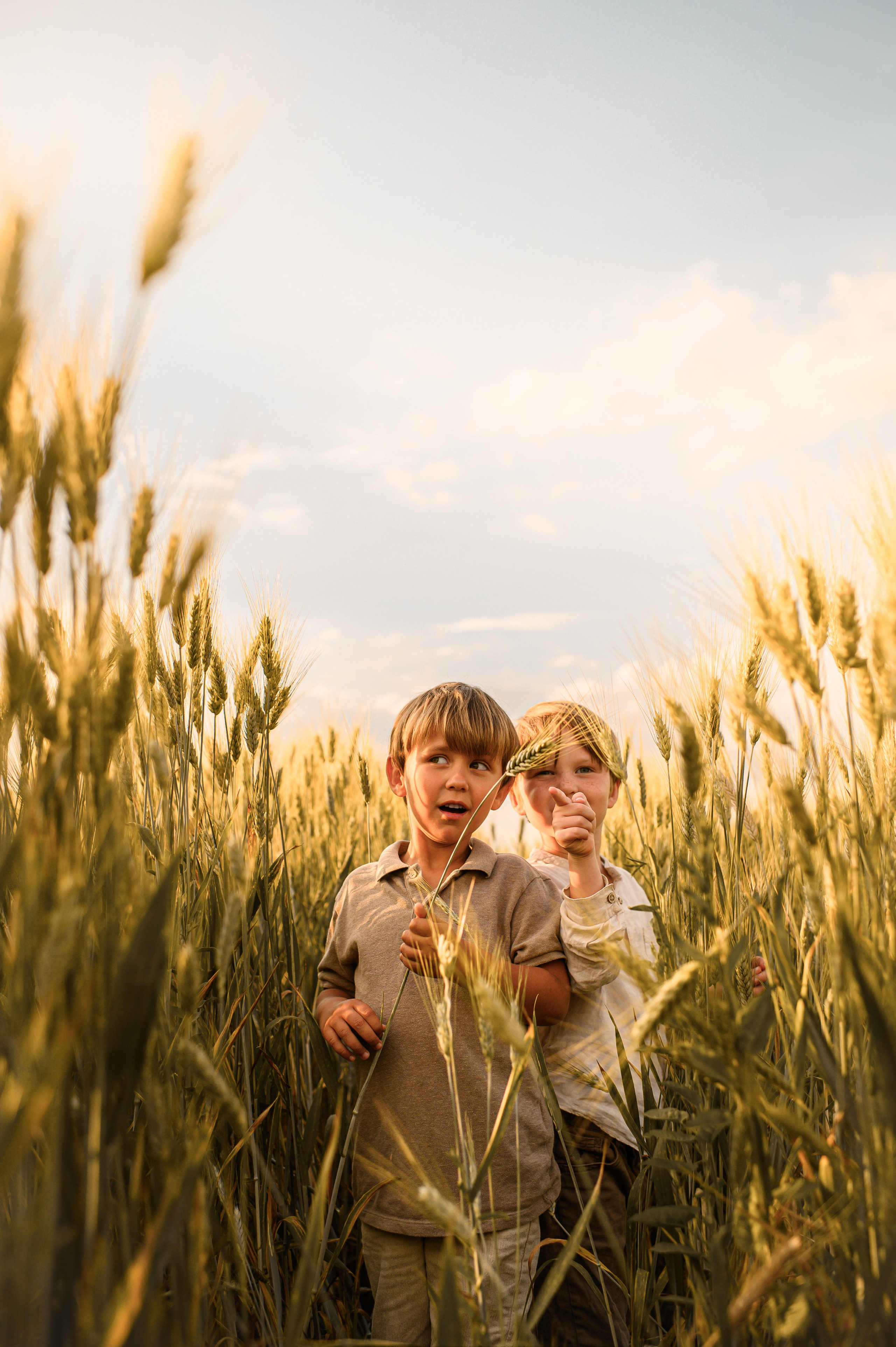 Wheat fields. Семейная, детская, портретная и предметная фотосъемка в Салониках