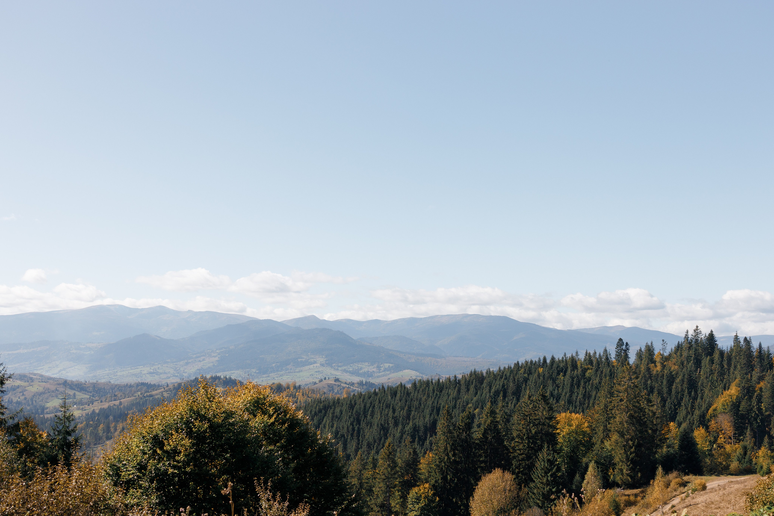 Марія & Дмитро. Весільний та сімейний фотограф Одеса