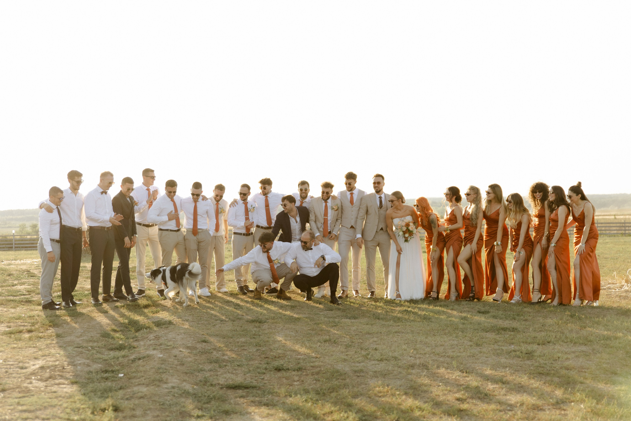 Wedding at Province Timisoara | Cristina & Robert. Wedding photographer and videographer based in Timisoara, Romania