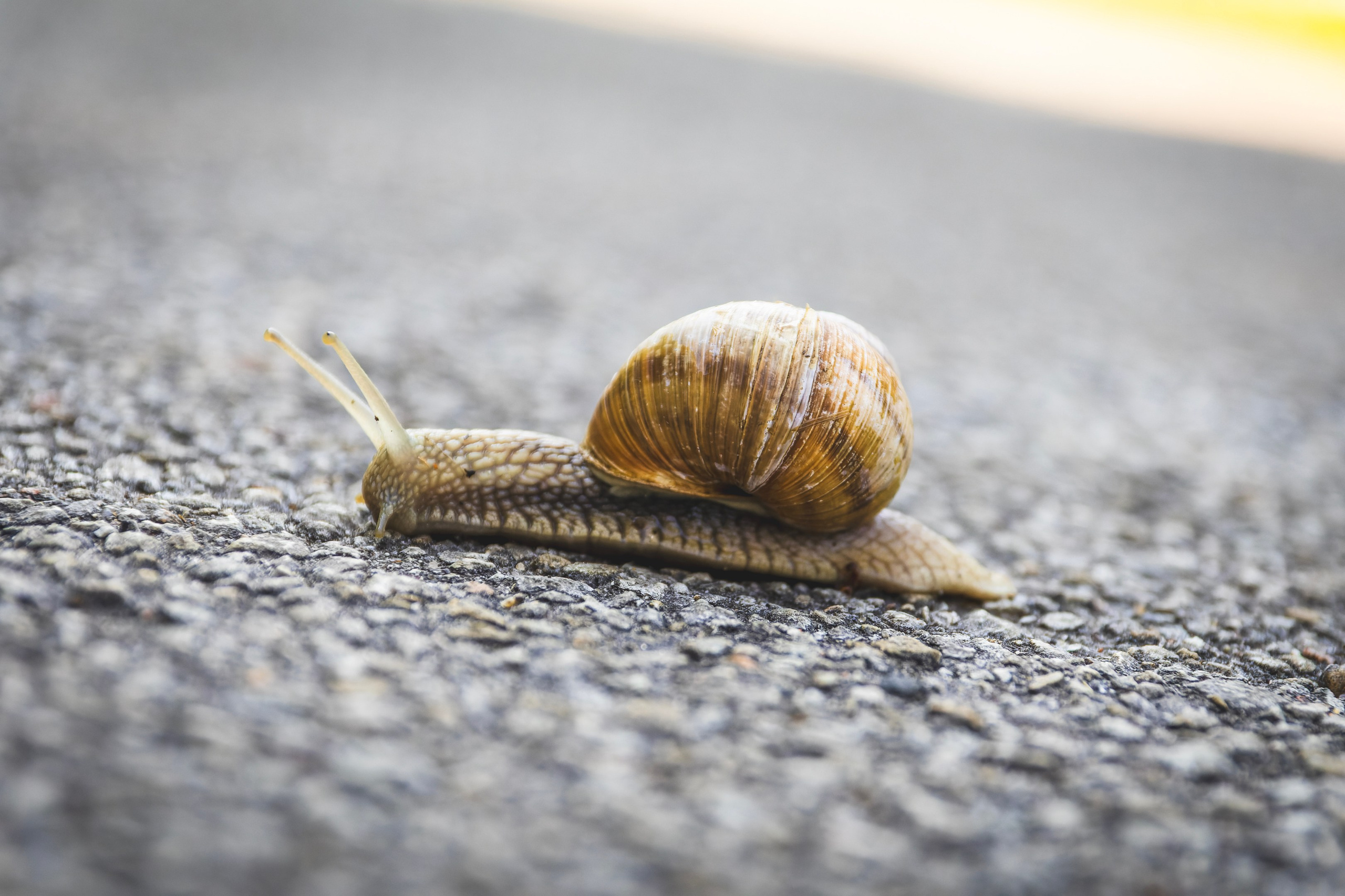 Jalgrattasõti, Klooga-Laagri (Kostja S. ja Ilja). Nebula 25 — Fotod teie hingele
