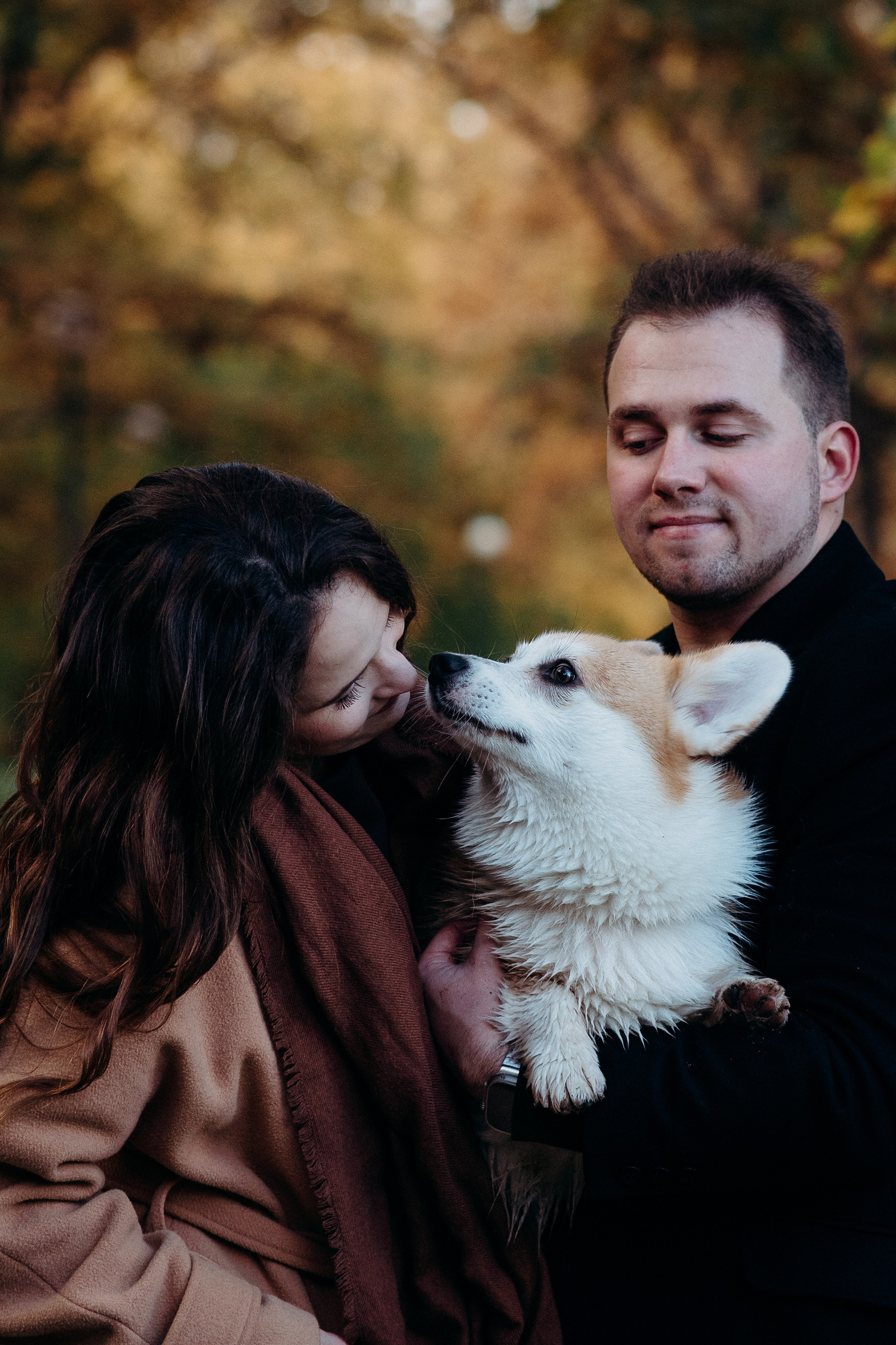 Liisa, Alexander & Marsel. Фотограф-анималист в Таллинне, Катя Лайсаар
