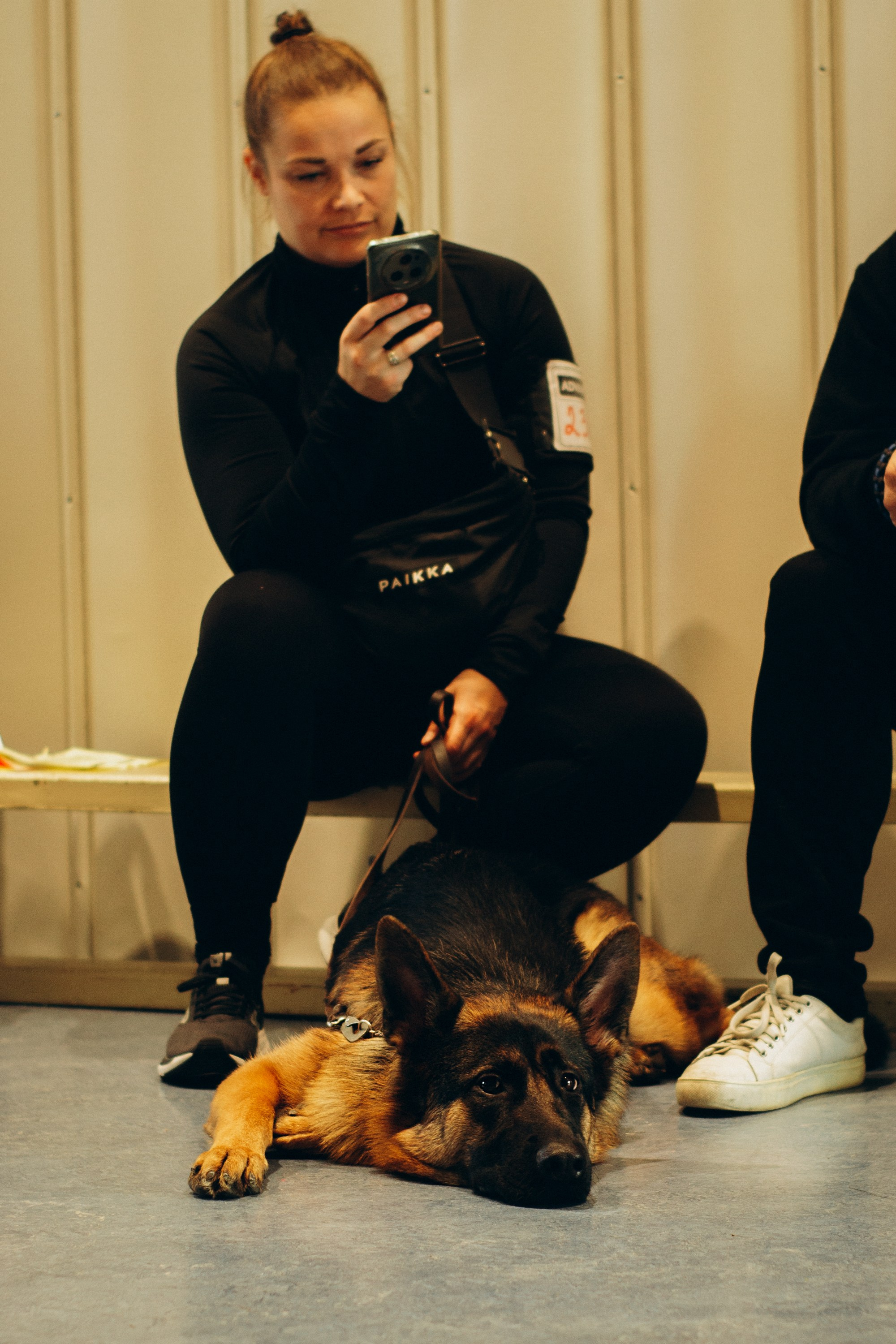 Rakvere Dog Show. Kat Laisaar — Pet photographer in Tallinn