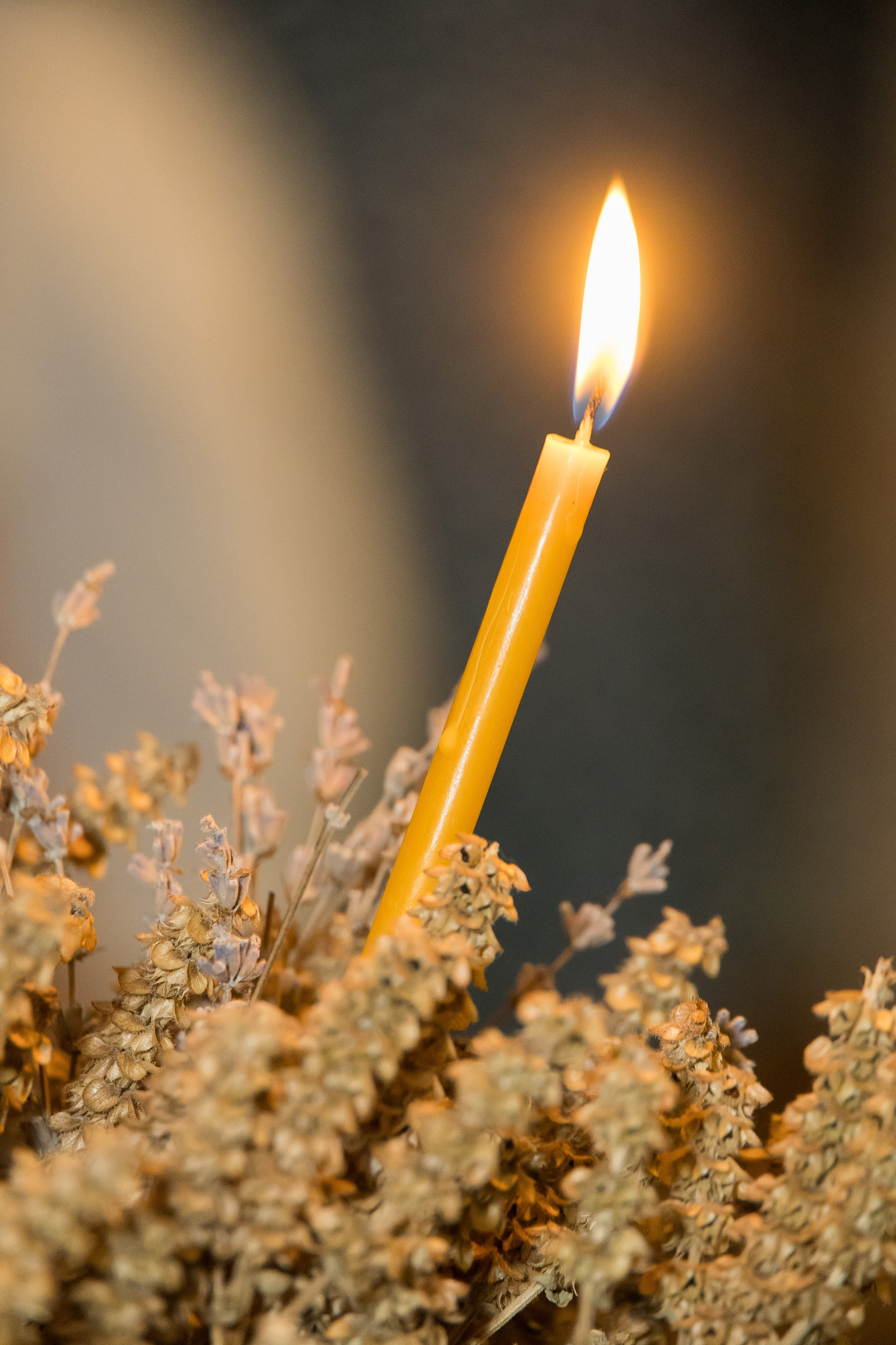 Lya. ✔️ Фото Видео на свадьбы и крестины Молдова — Cinematic.md