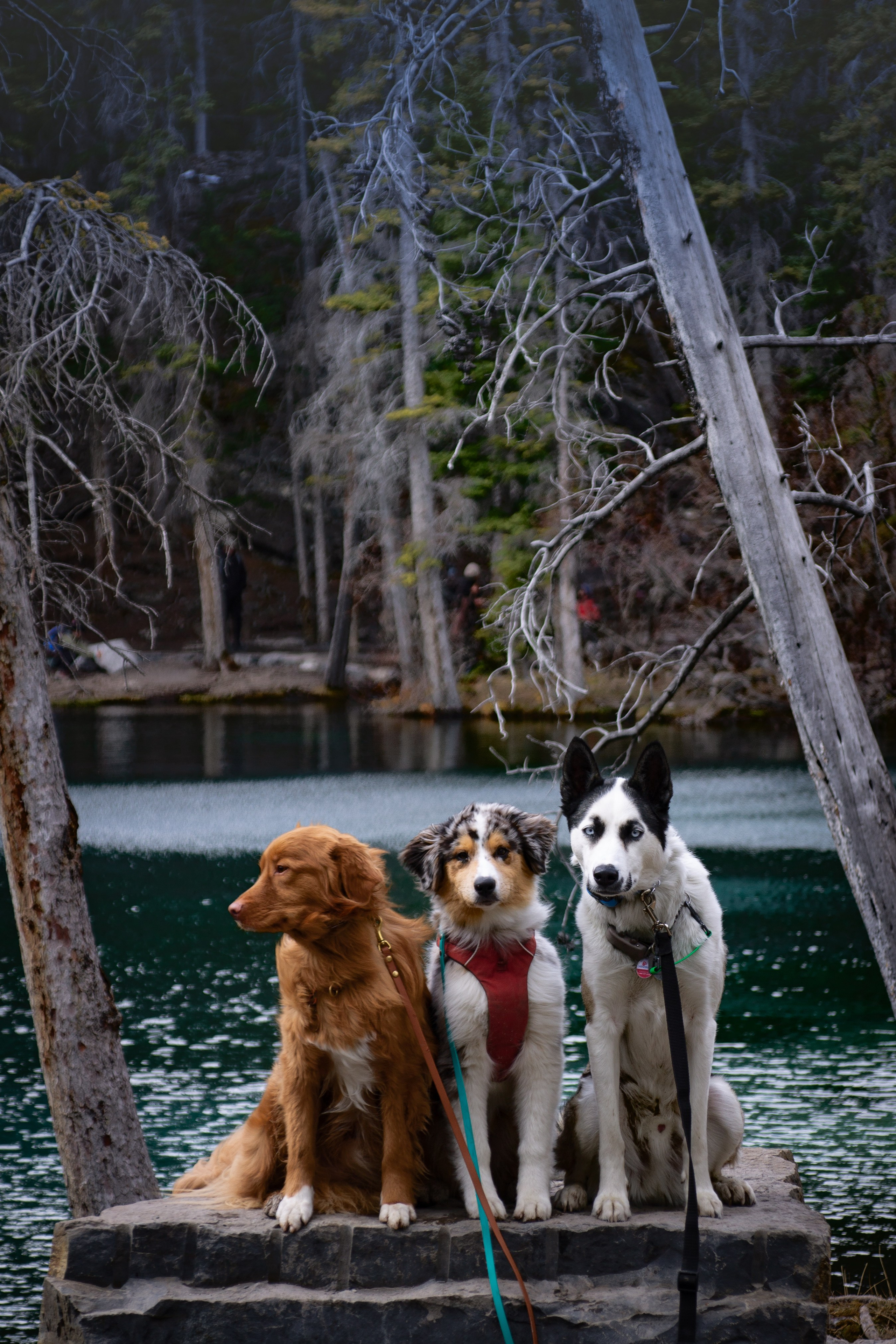 Grassi lake. Emiliia Kotruch PHOTOGRAPHER