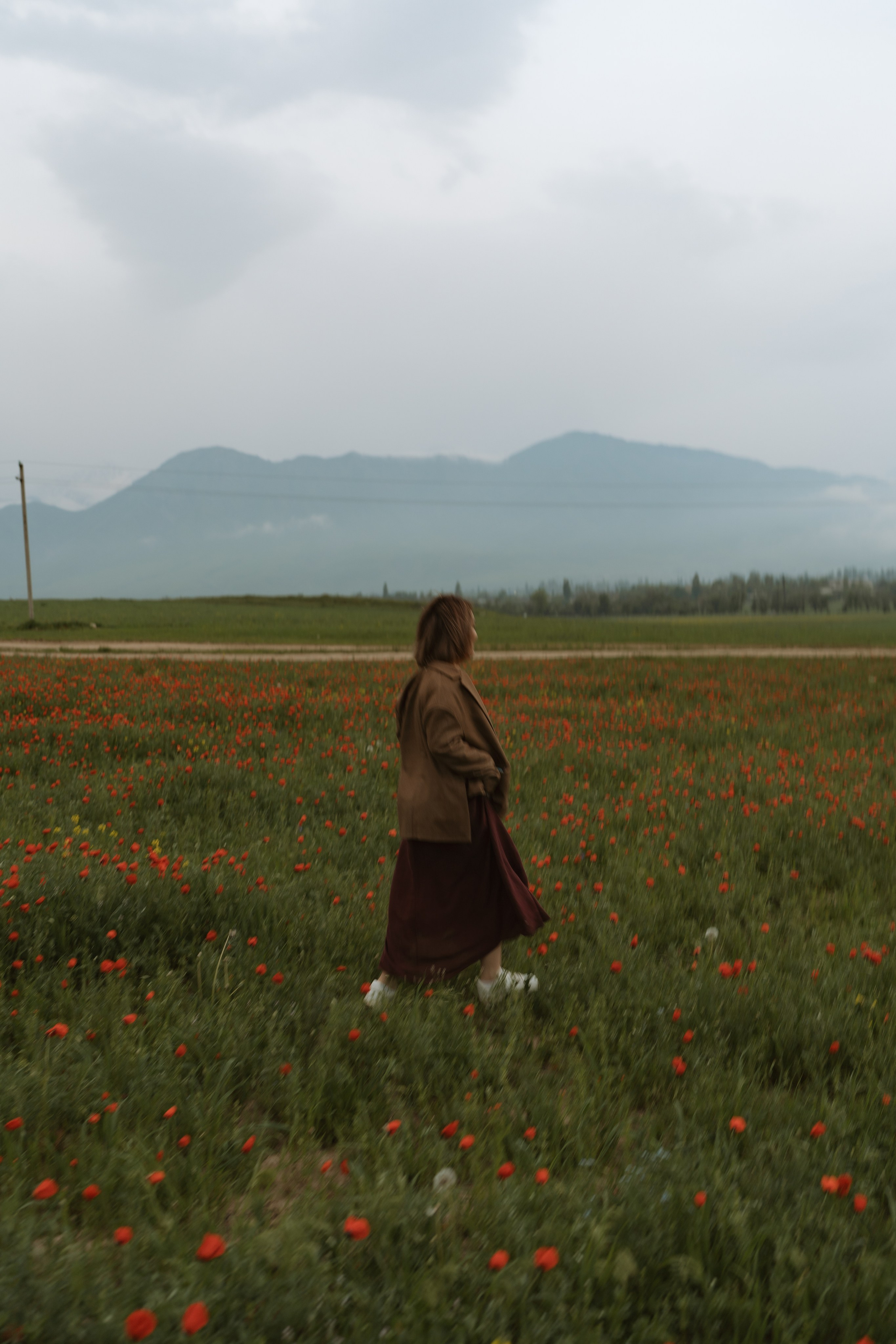 Family Field Trip. Soulo Photography | San Francisco Bay Area Based Photographer