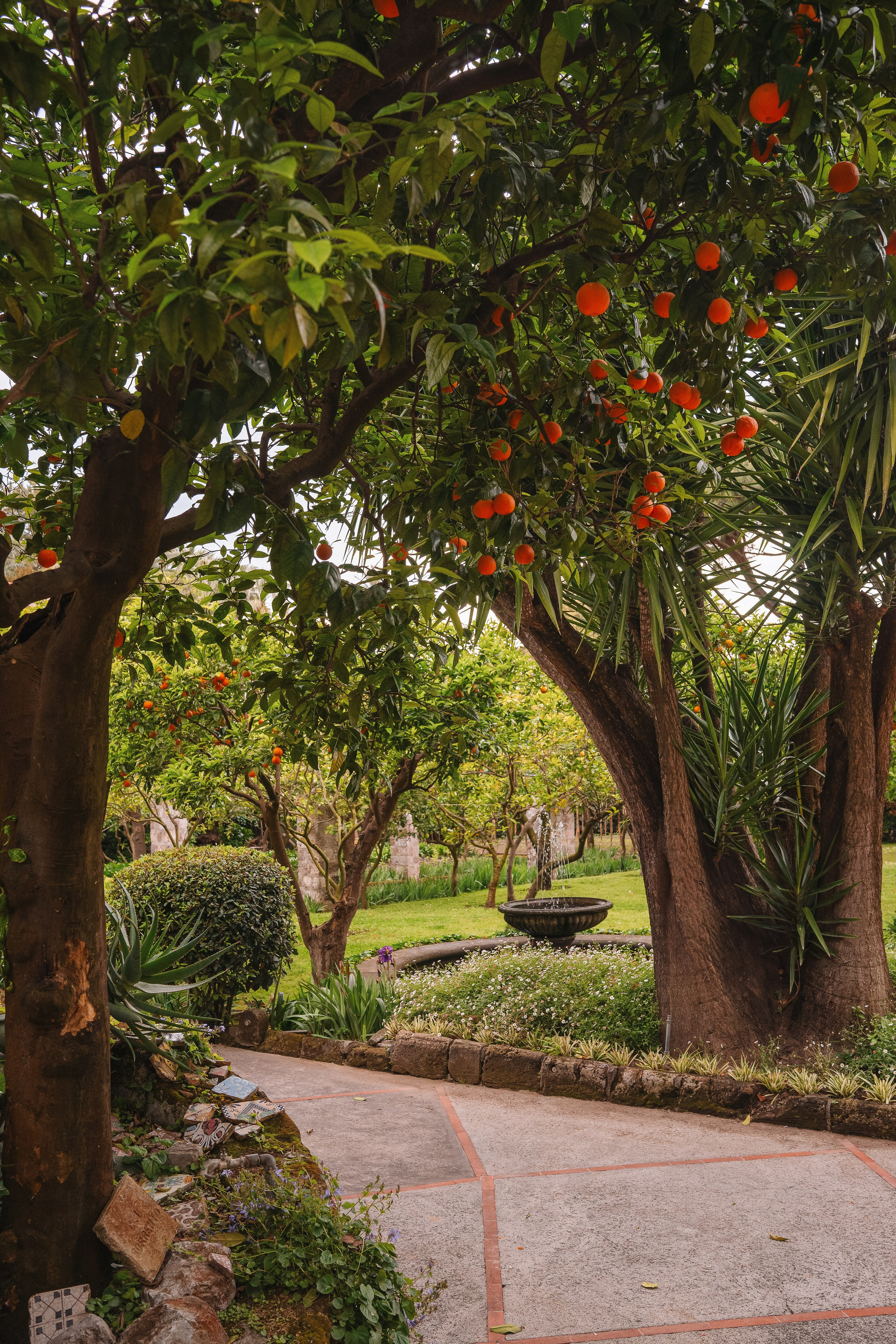 Grand Hotel Cocumella. Hotel and travel photographer