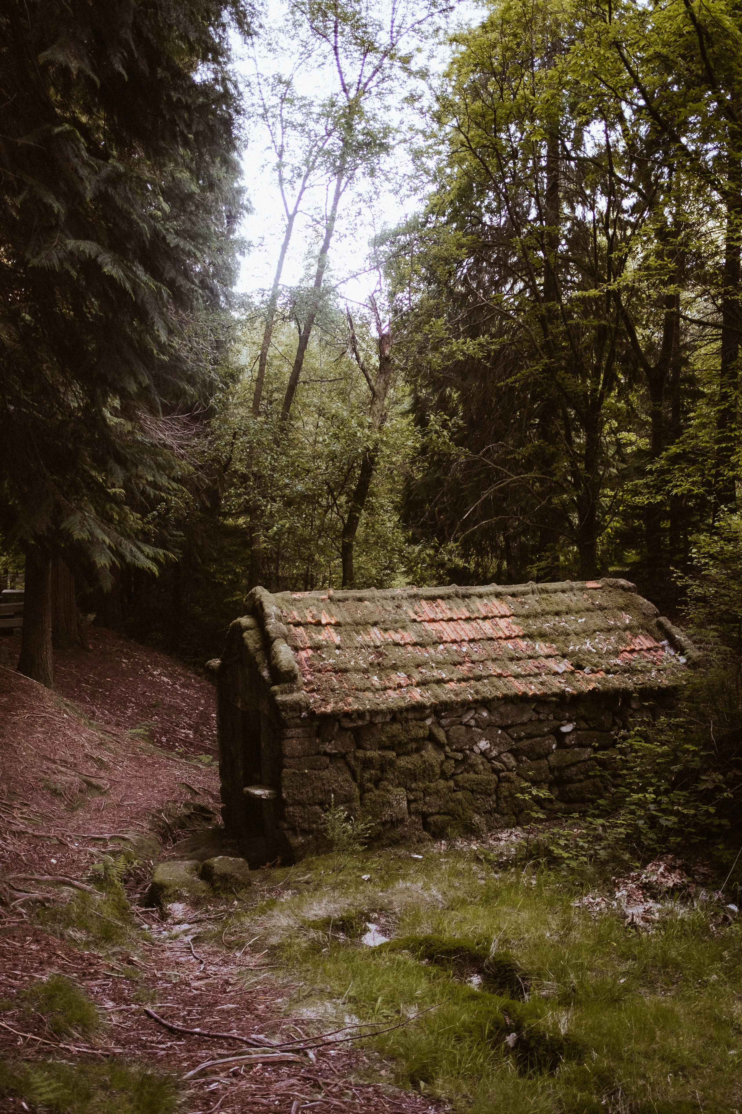 The woman who goes under — Elsa | Intimate Photography