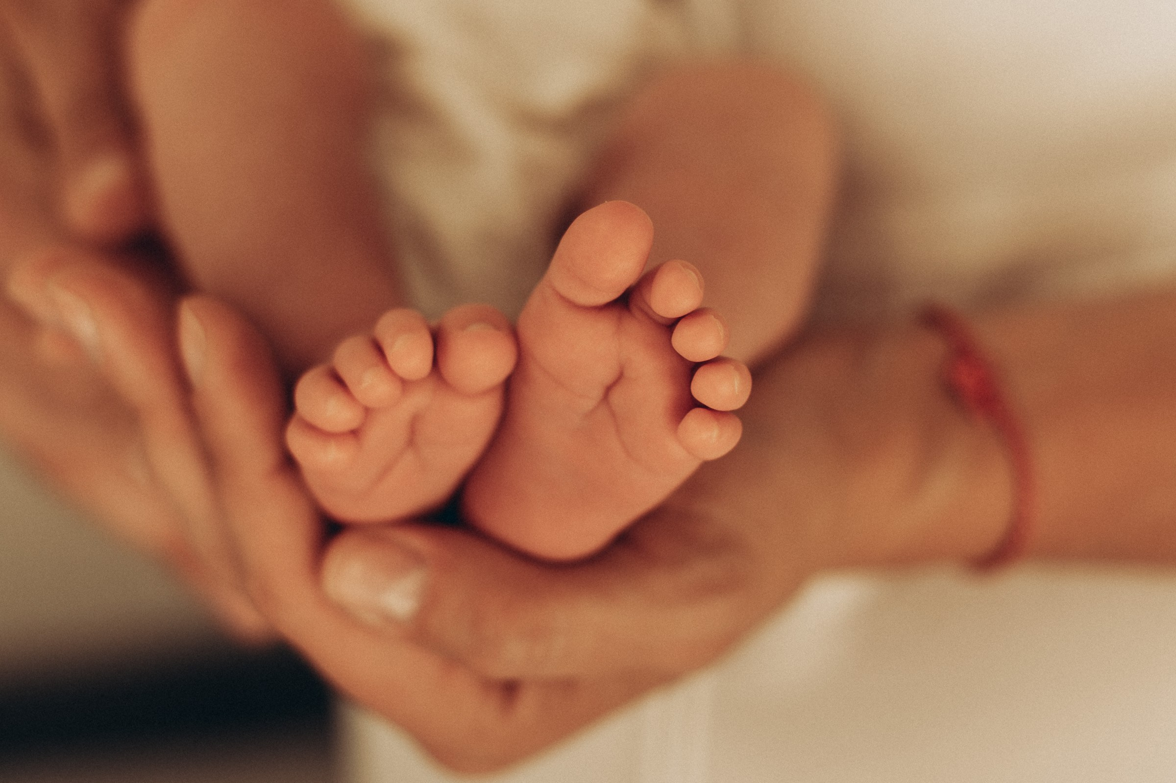 Newborn. Natasha photo Photographer in Melbourne