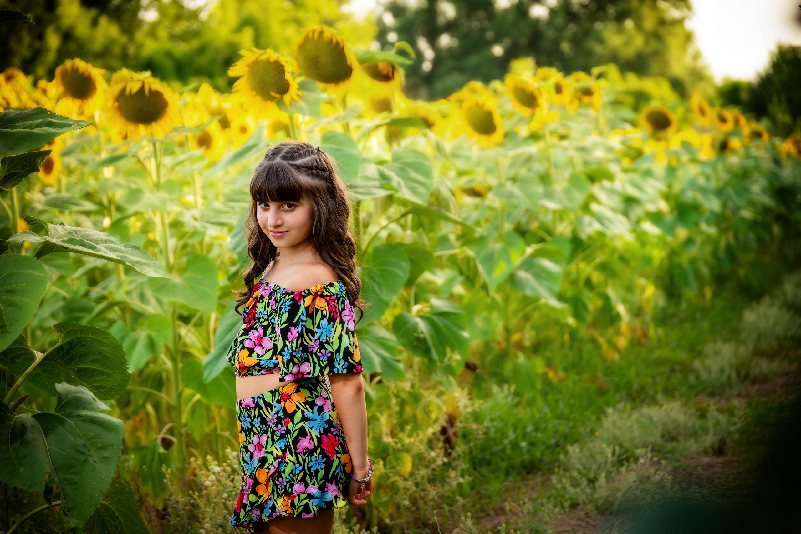 Campo di Girasole. Fotografo di famiglia