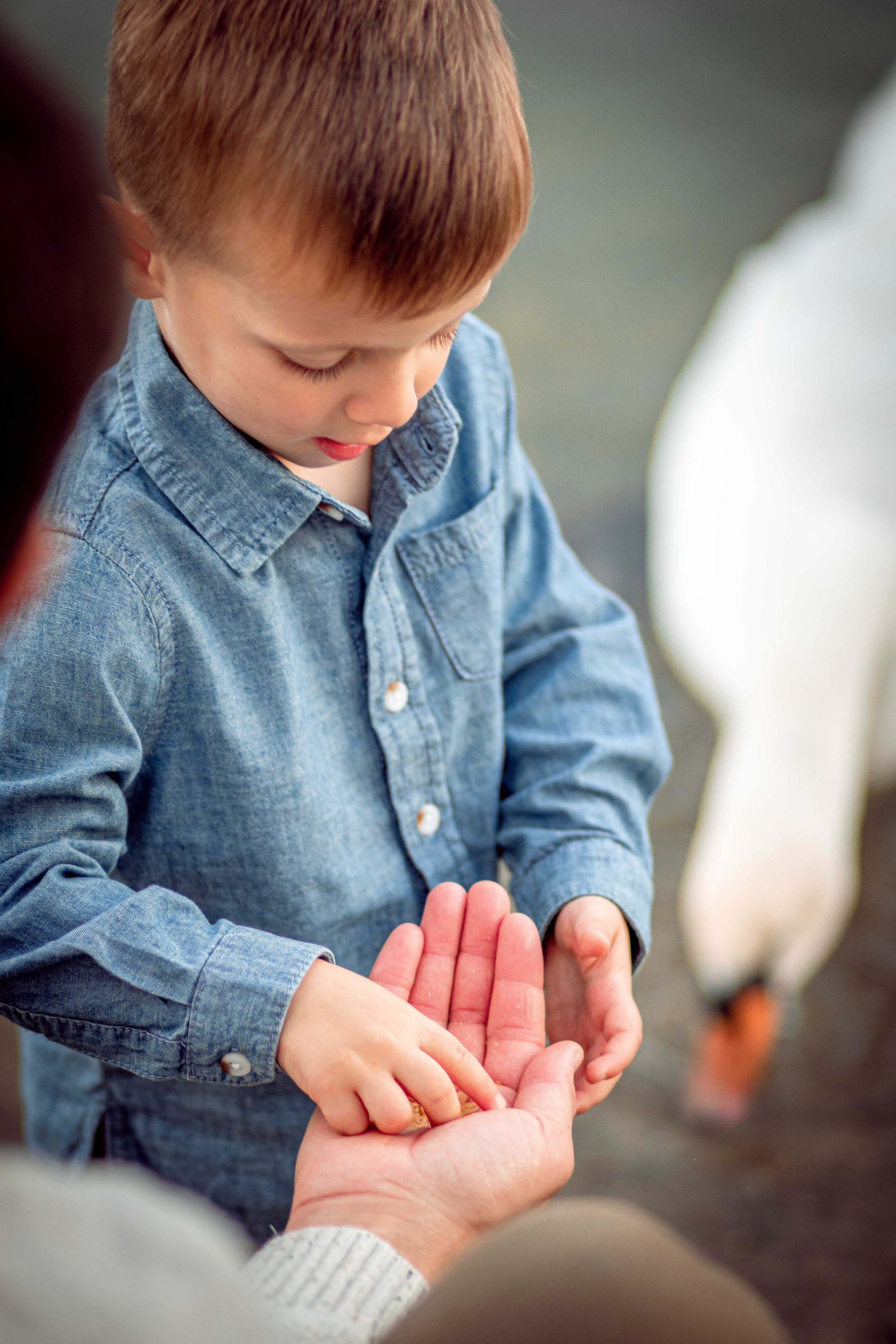 Family. Family Photographer in Greece