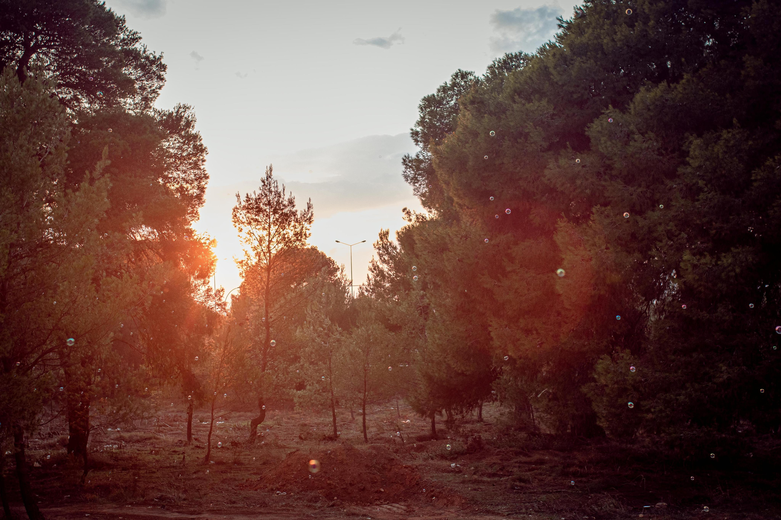 Halloween Event. Family Photographer in Greece