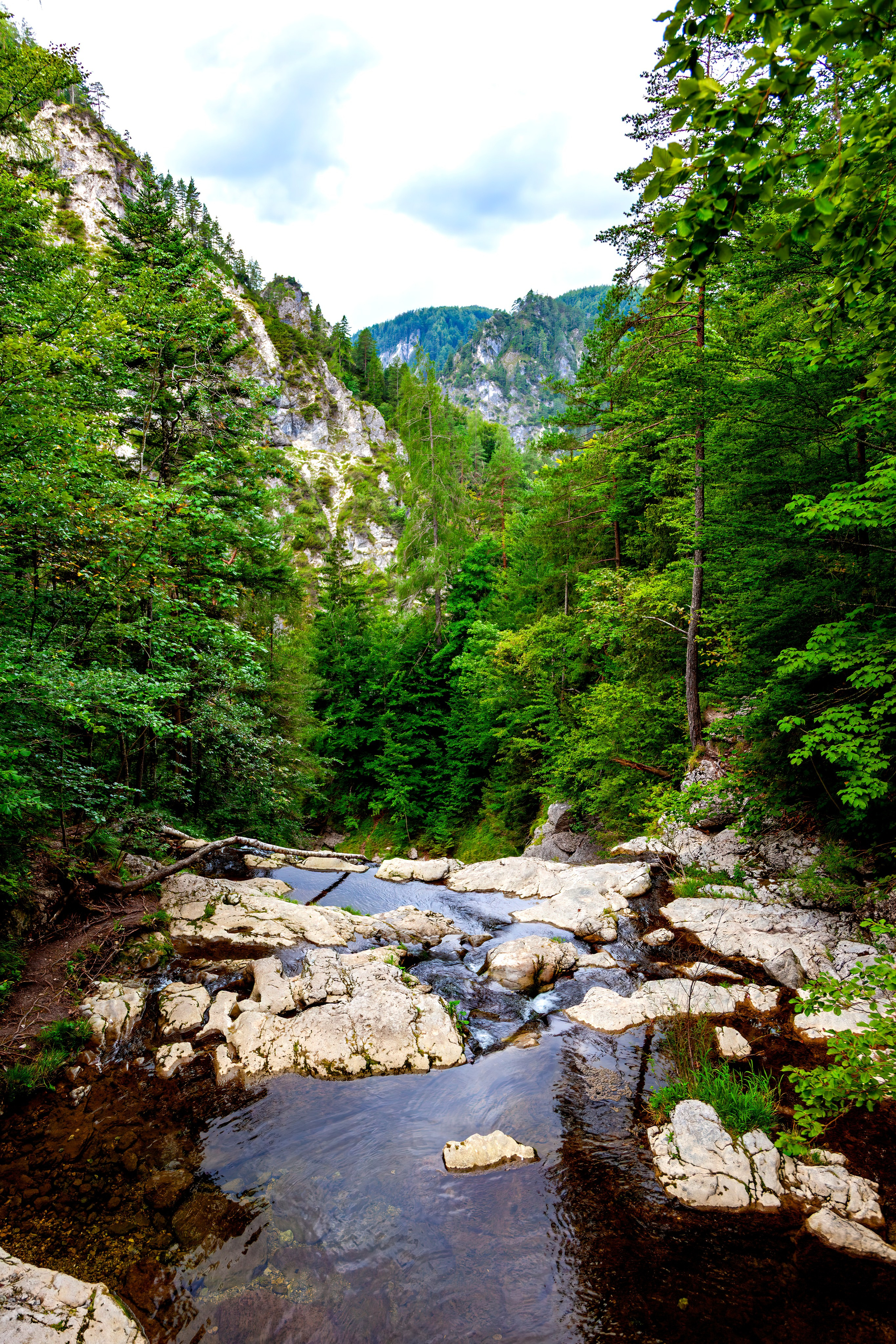 197.Ötscher Base Nature Park.Austria.21.8.2025. Путешествия в формате 360......