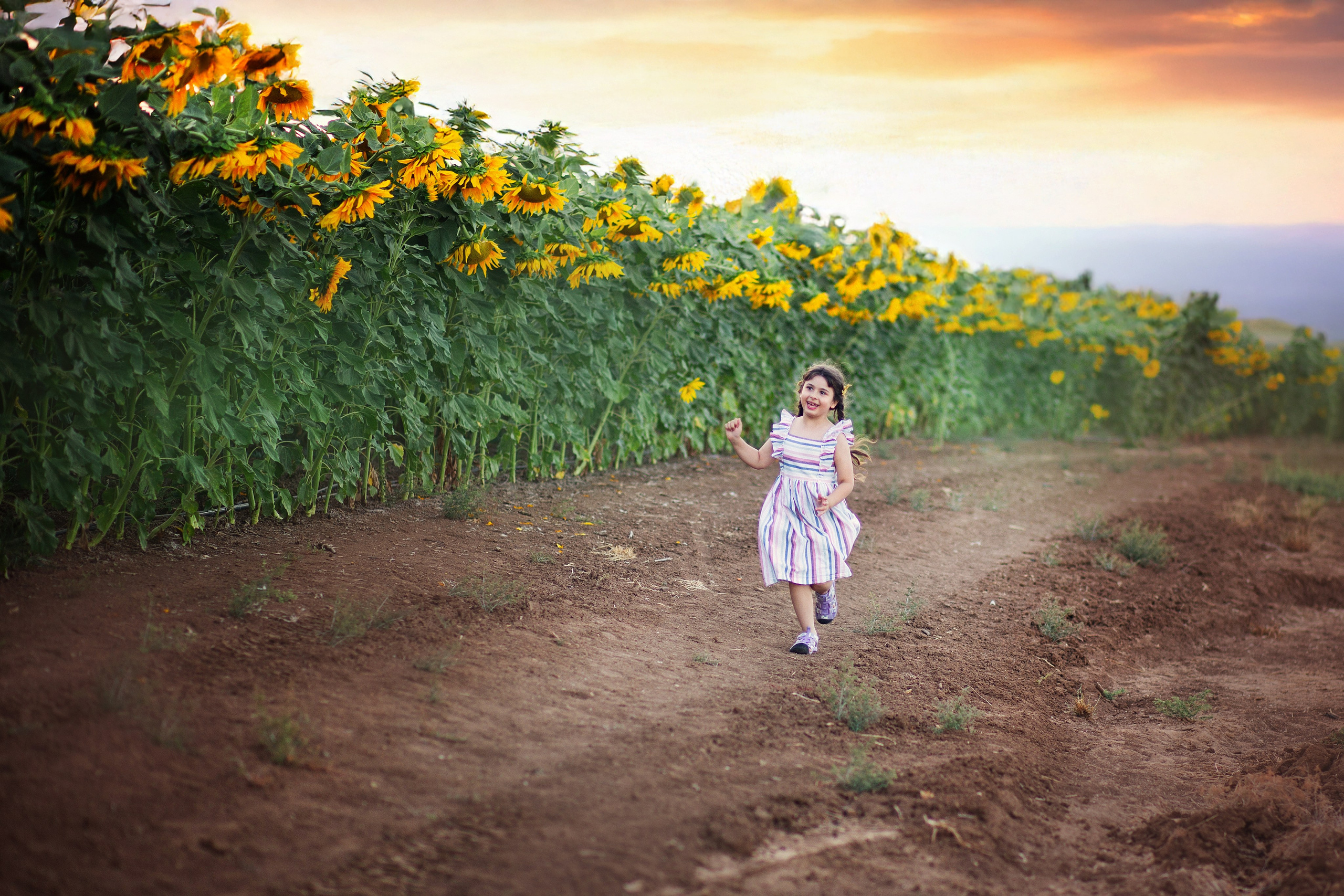 צילומי ילדים. צלמת ילדים, הריון ומשפחה בישראל