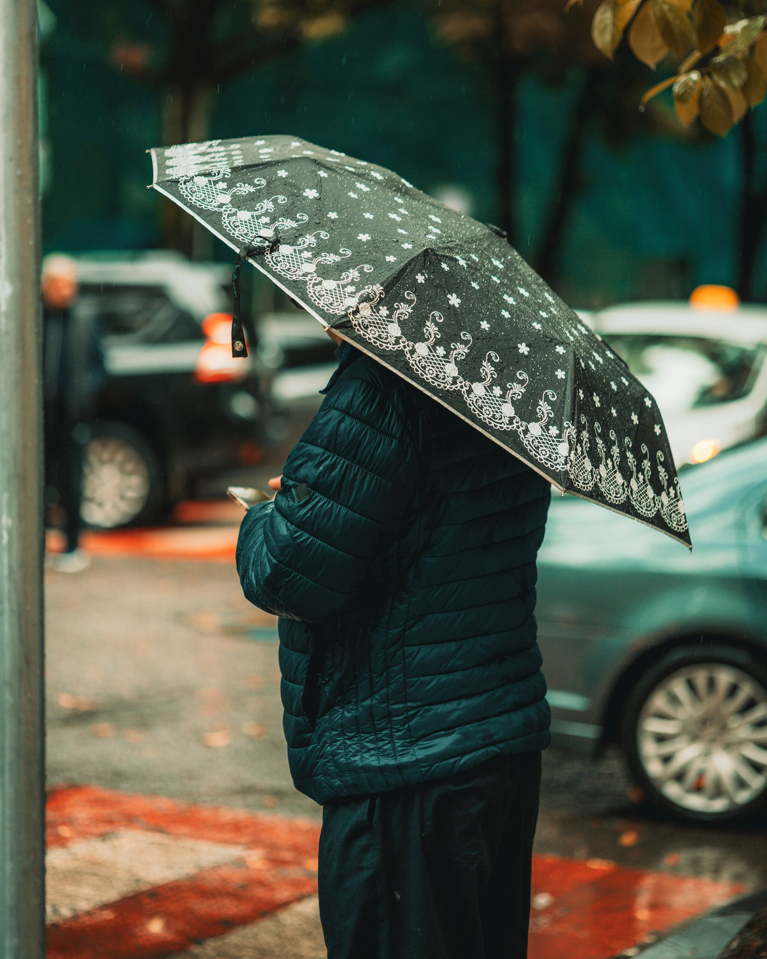 B A T U M I 2 0 2 5. Bspander