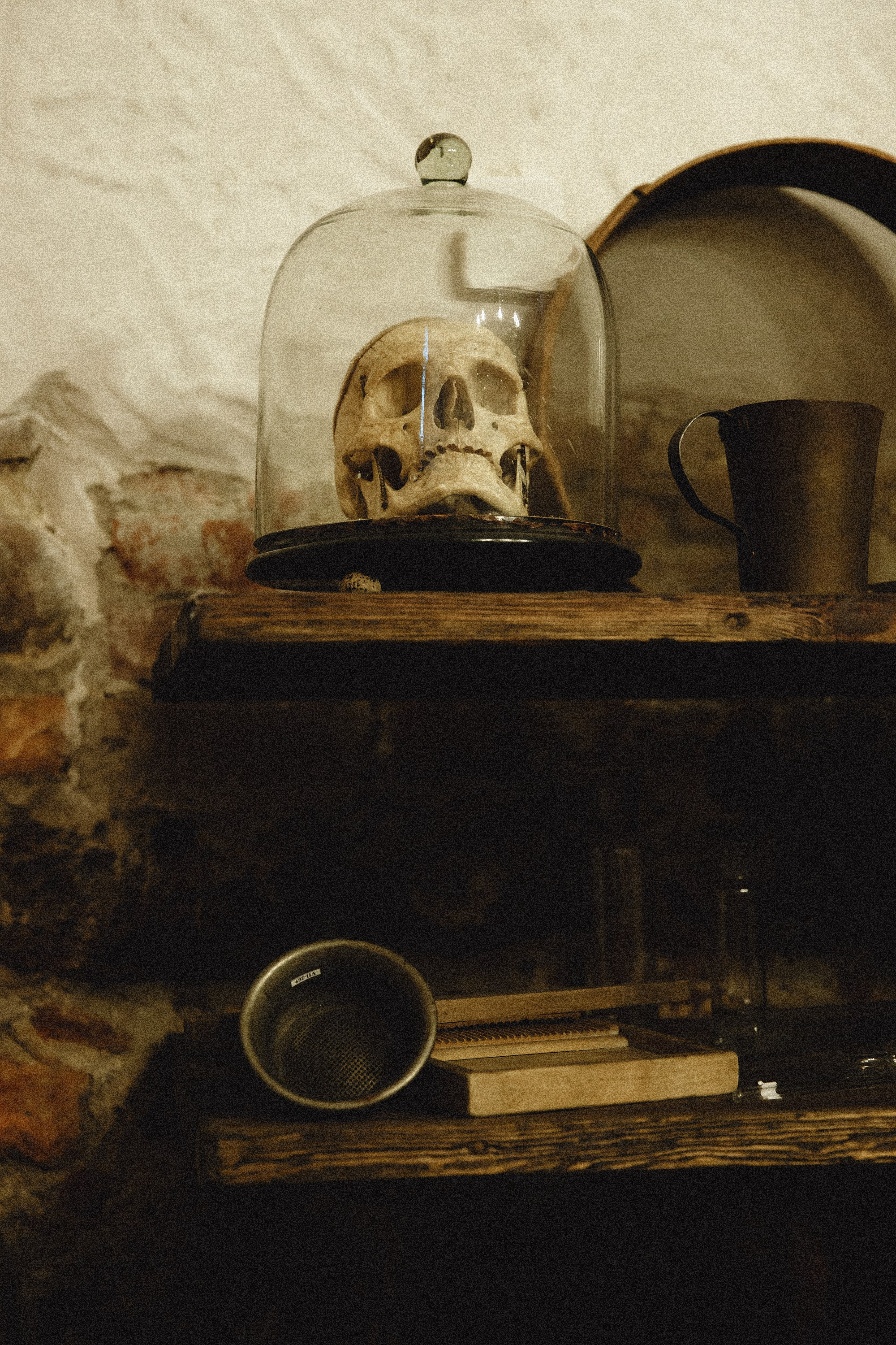 Museum of farmacy in Wroclaw. Kaja | fotograf we Wrocławiu | ludzie i psy